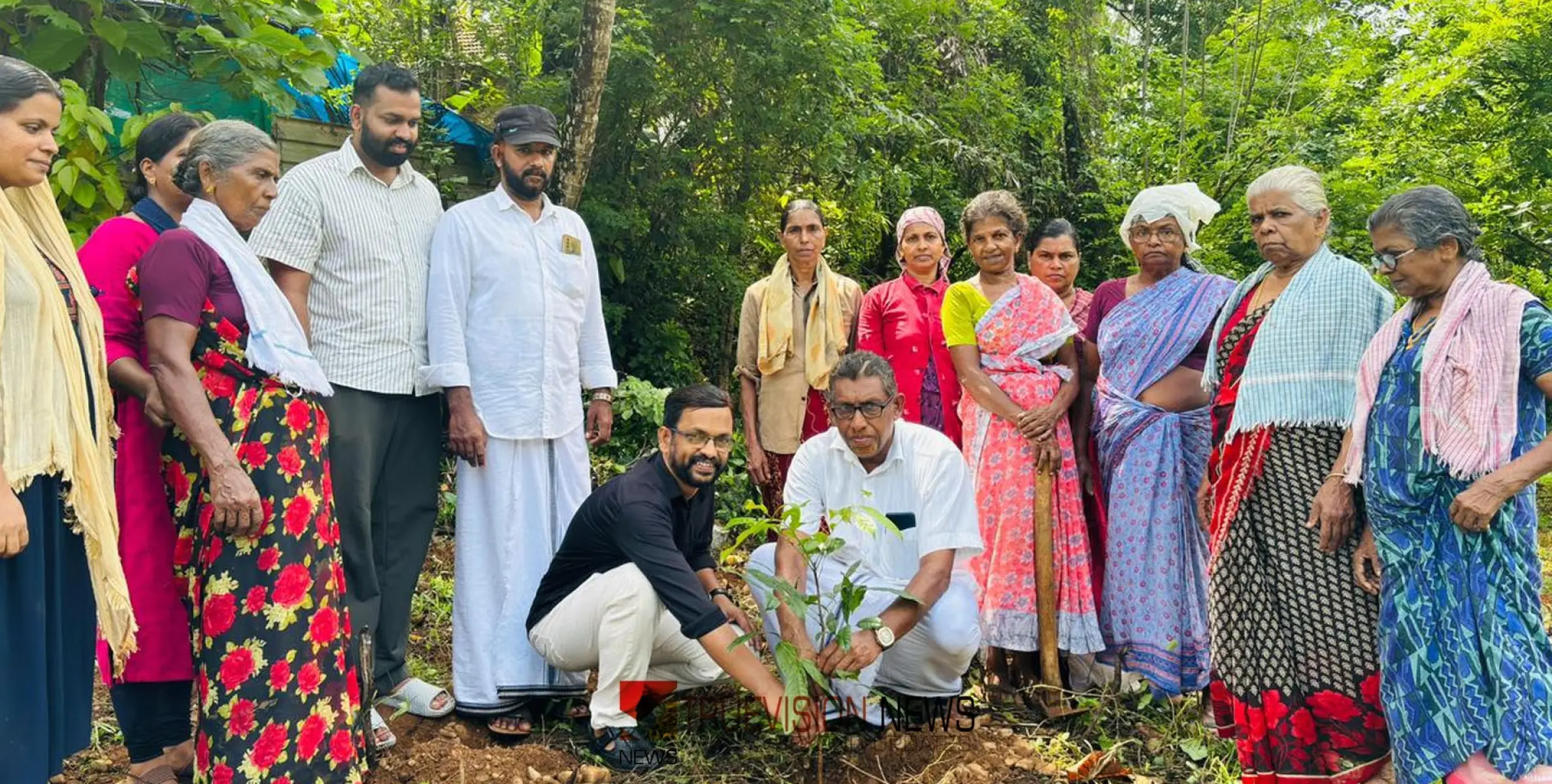 #Environmentday|വൃക്ഷതൈ നടൽ ; പരിസ്ഥിതി ദിനമാഘോഷിച്ച്‌ വാണിമേൽ ഗ്രാമപഞ്ചായത്തും തൊഴിലുറപ്പ് തൊഴിലാളികളും