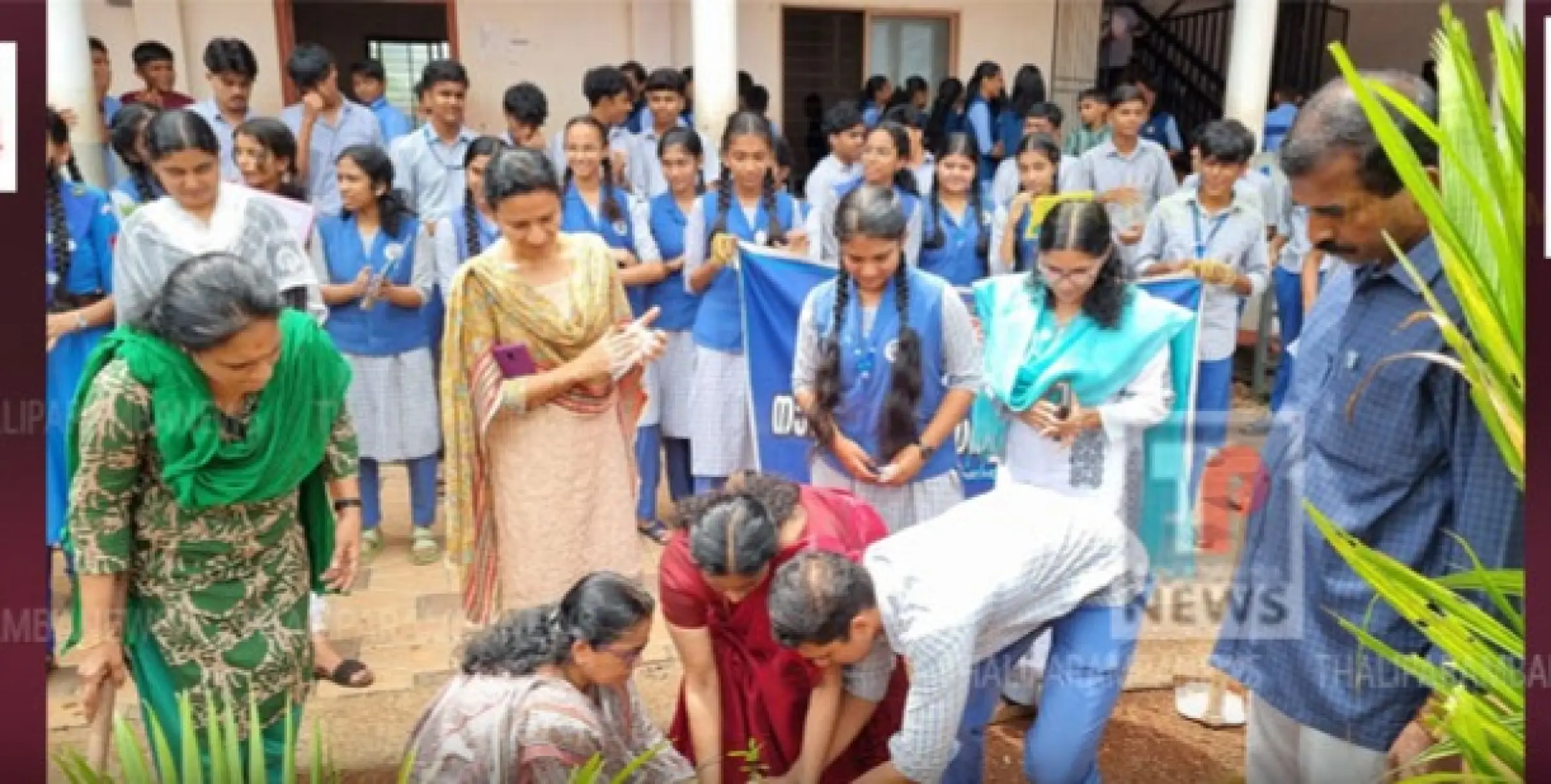 സഹപാഠികൾക്കായി ഫലവൃക്ഷ തൈകൾ നട്ടുപിടിപ്പിച്ച് മൂത്തേടത്ത് സ്കുൾ എൻ എസ് എസ് യൂണിറ്റ്