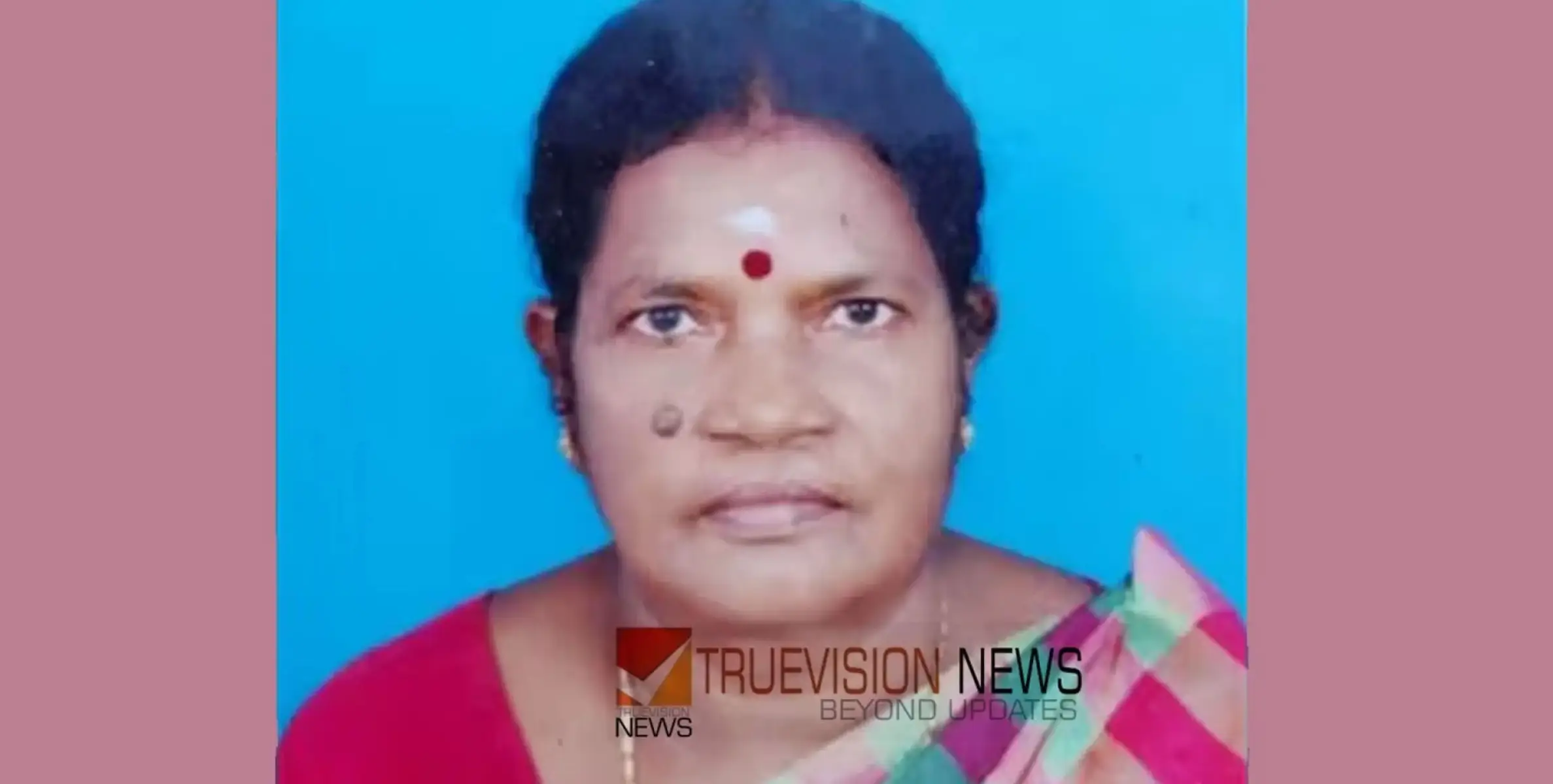 #death | ഇരുമ്പ് തോട്ടി ഇലക്ട്രിക് ലൈനിൽ തട്ടി വയോധിക മരിച്ചു