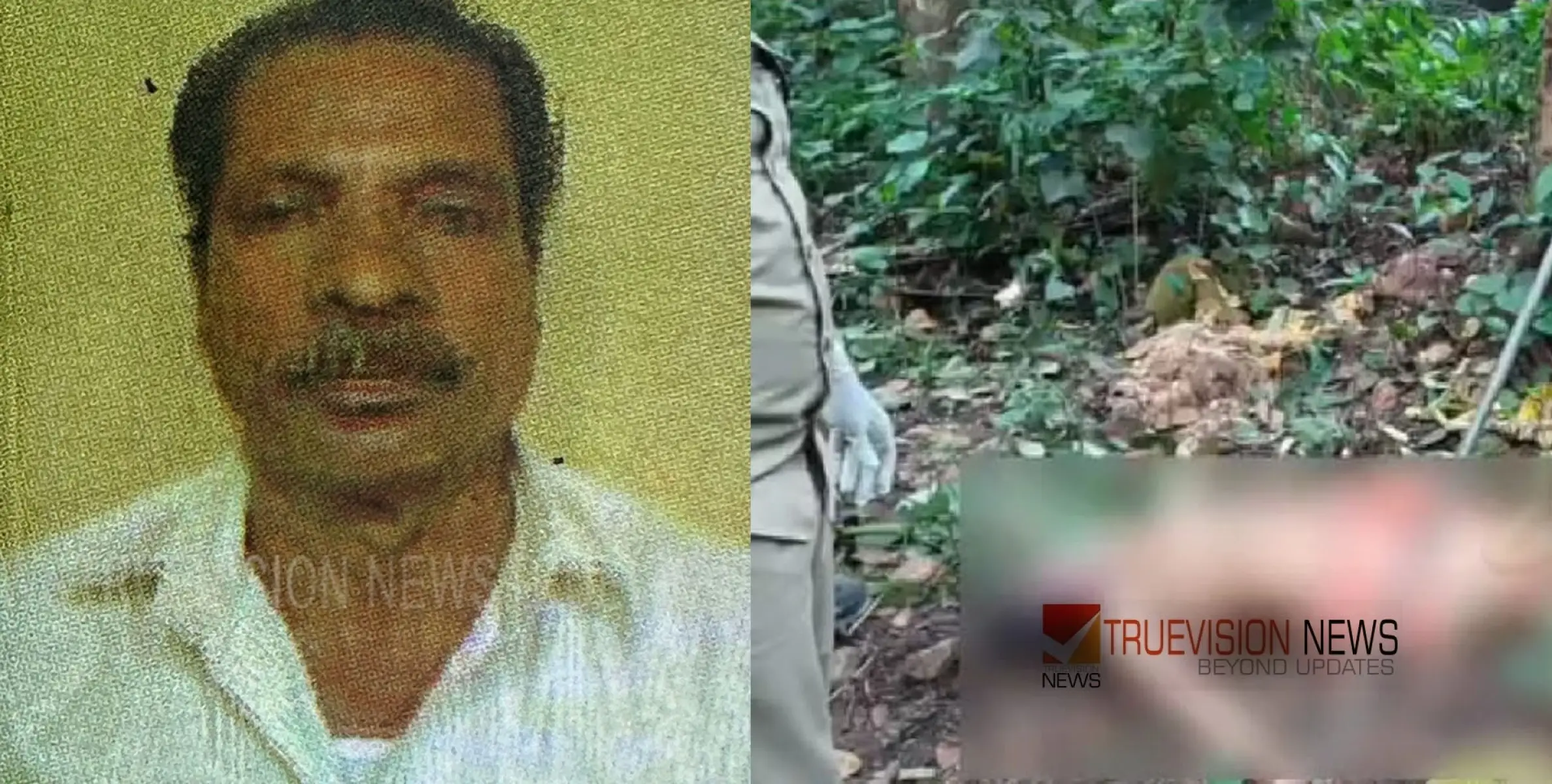 #shockdeath | കൊയിലാണ്ടിയിൽ ചക്ക പറിക്കുന്നതിനിടെ വയോധികന്‍ ഷോക്കേറ്റു മരിച്ചു