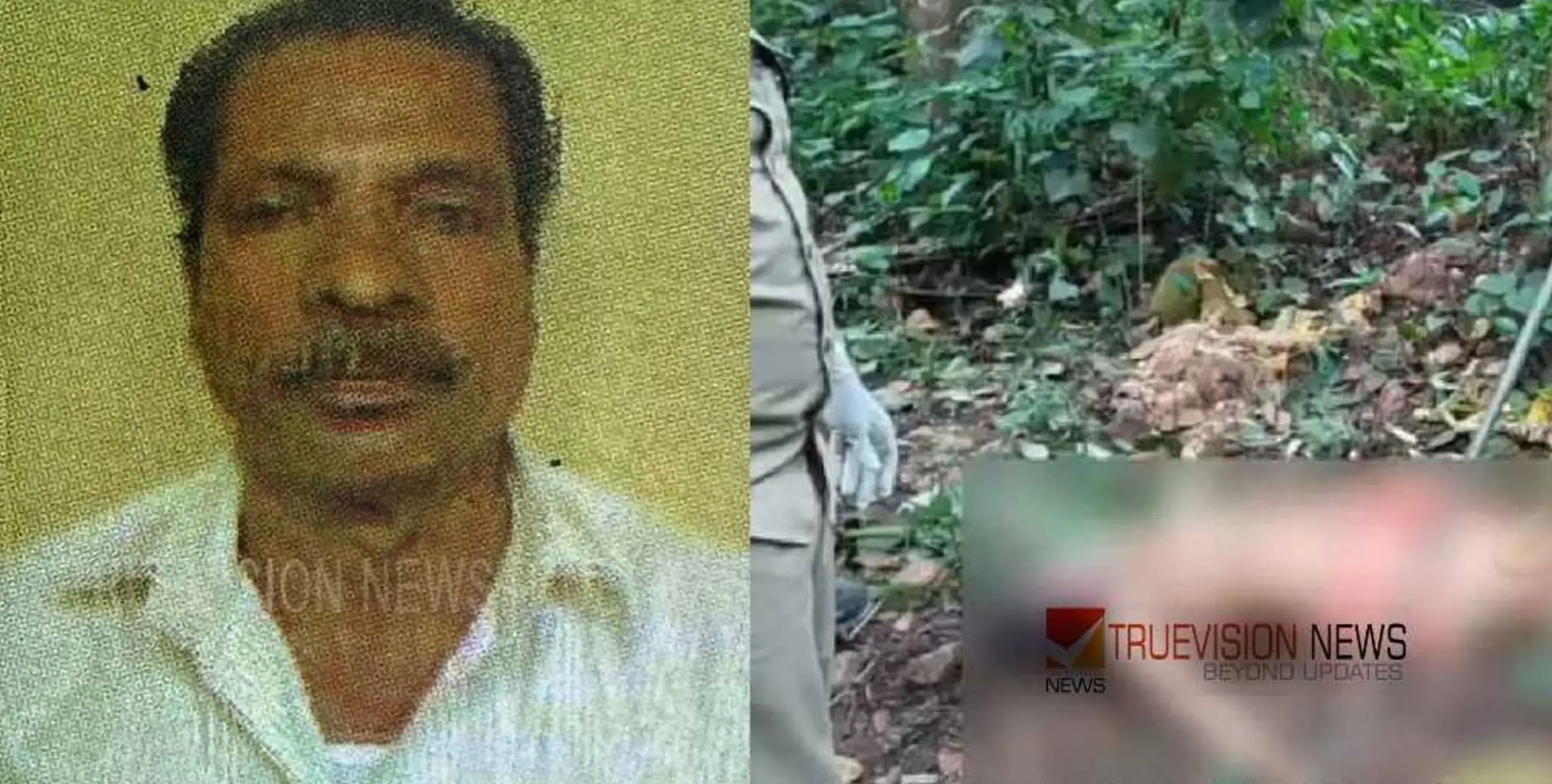 #shockdeath | കൊയിലാണ്ടിയിൽ ചക്ക പറിക്കുന്നതിനിടെ വൈദ്യുത ലൈനില്‍തട്ടി ഷോക്കേറ്റ് വയോധികന്‍ മരിച്ചു 