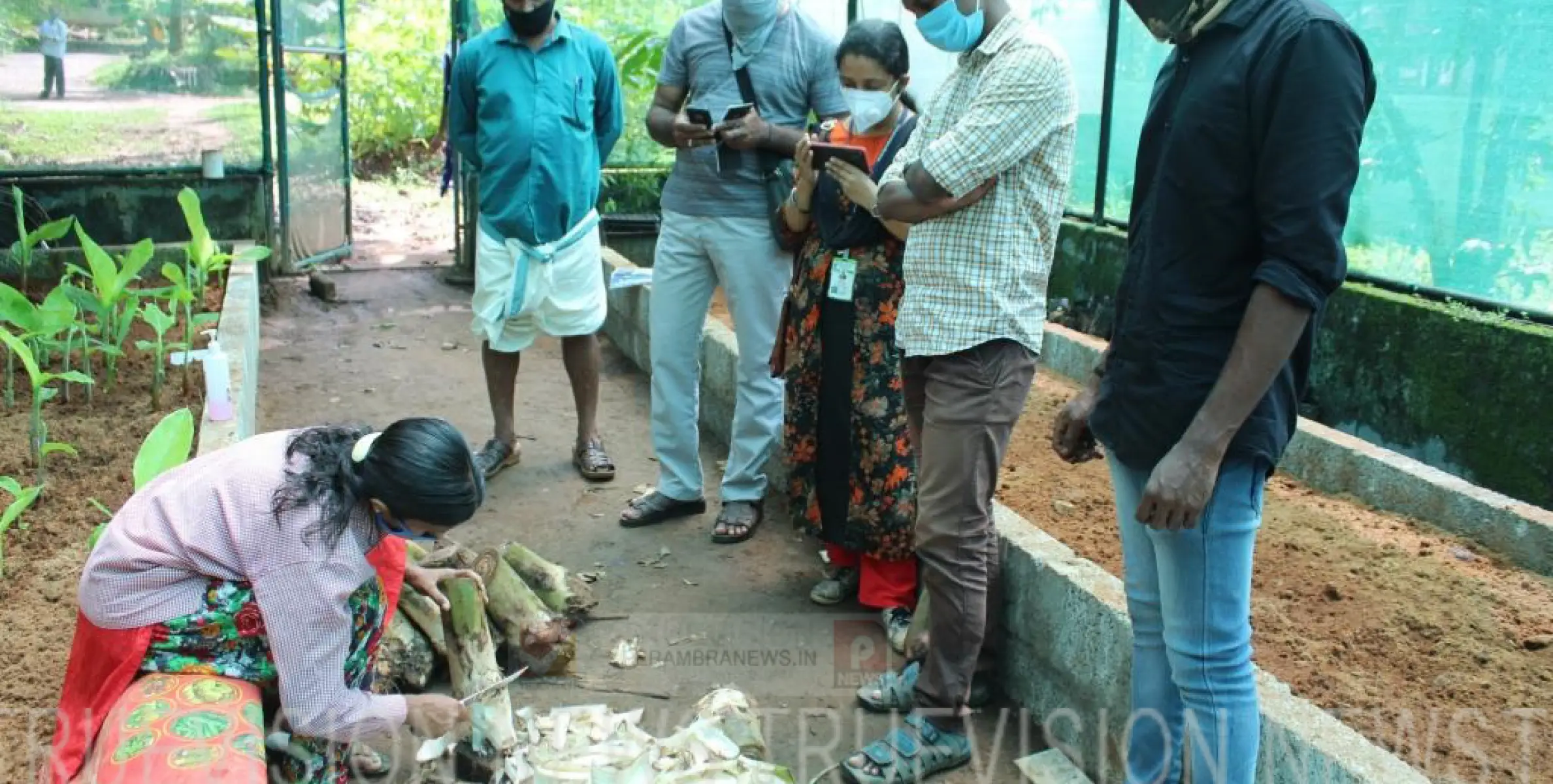 കൃഷി വിജ്ഞാന കേന്ദ്രത്തില്‍ പരിശീലന പരിപാടി