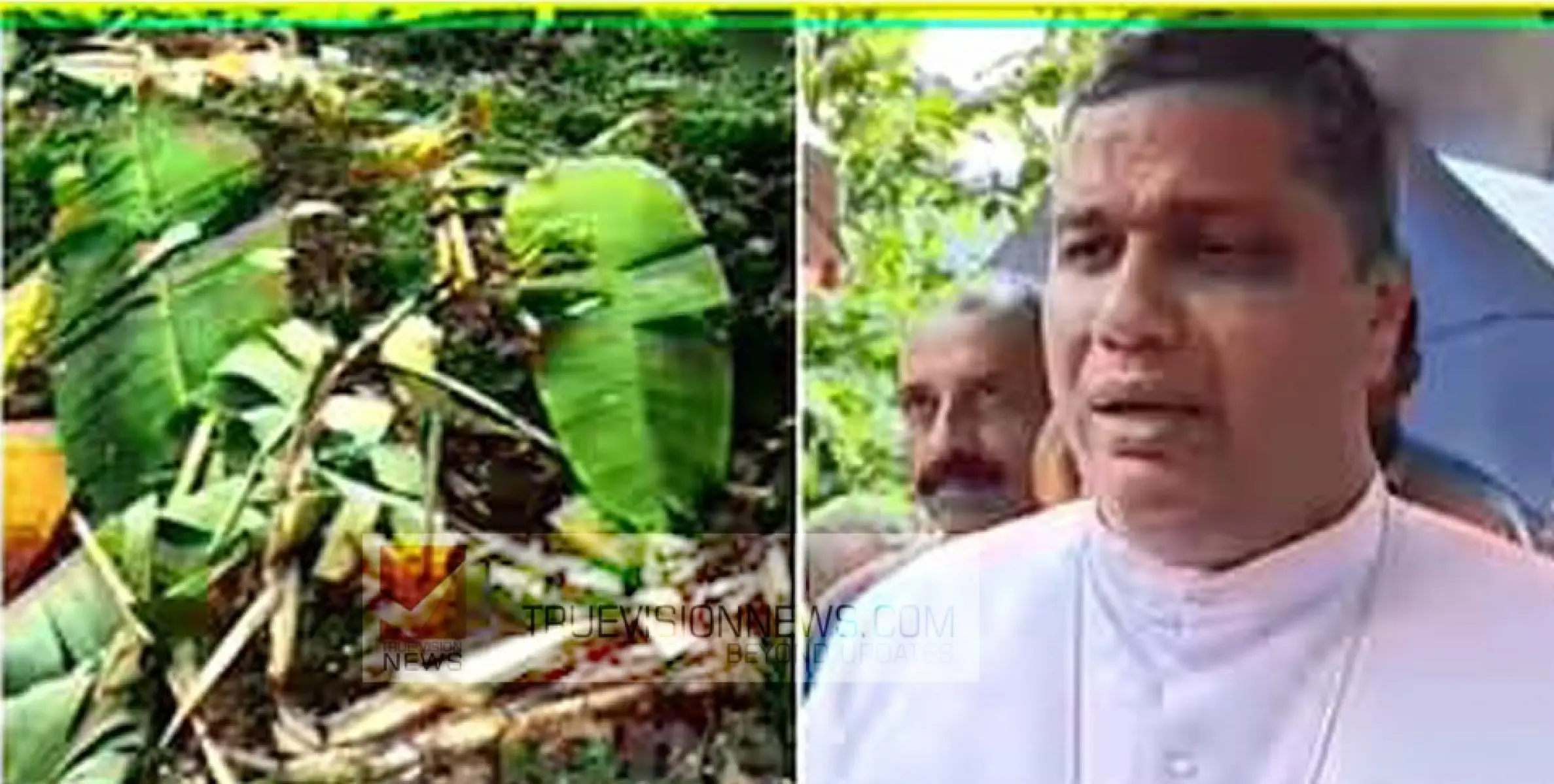 വന്യമൃഗ ശല്യം ; മന്ത്രിയോട് പരാതിപ്പെട്ടതെല്ലാം ചെന്നെത്തിയത് ബധിര കര്‍ണങ്ങളിൽ, സര്‍ക്കാരിനെതിരെ പാംപ്ലാനി