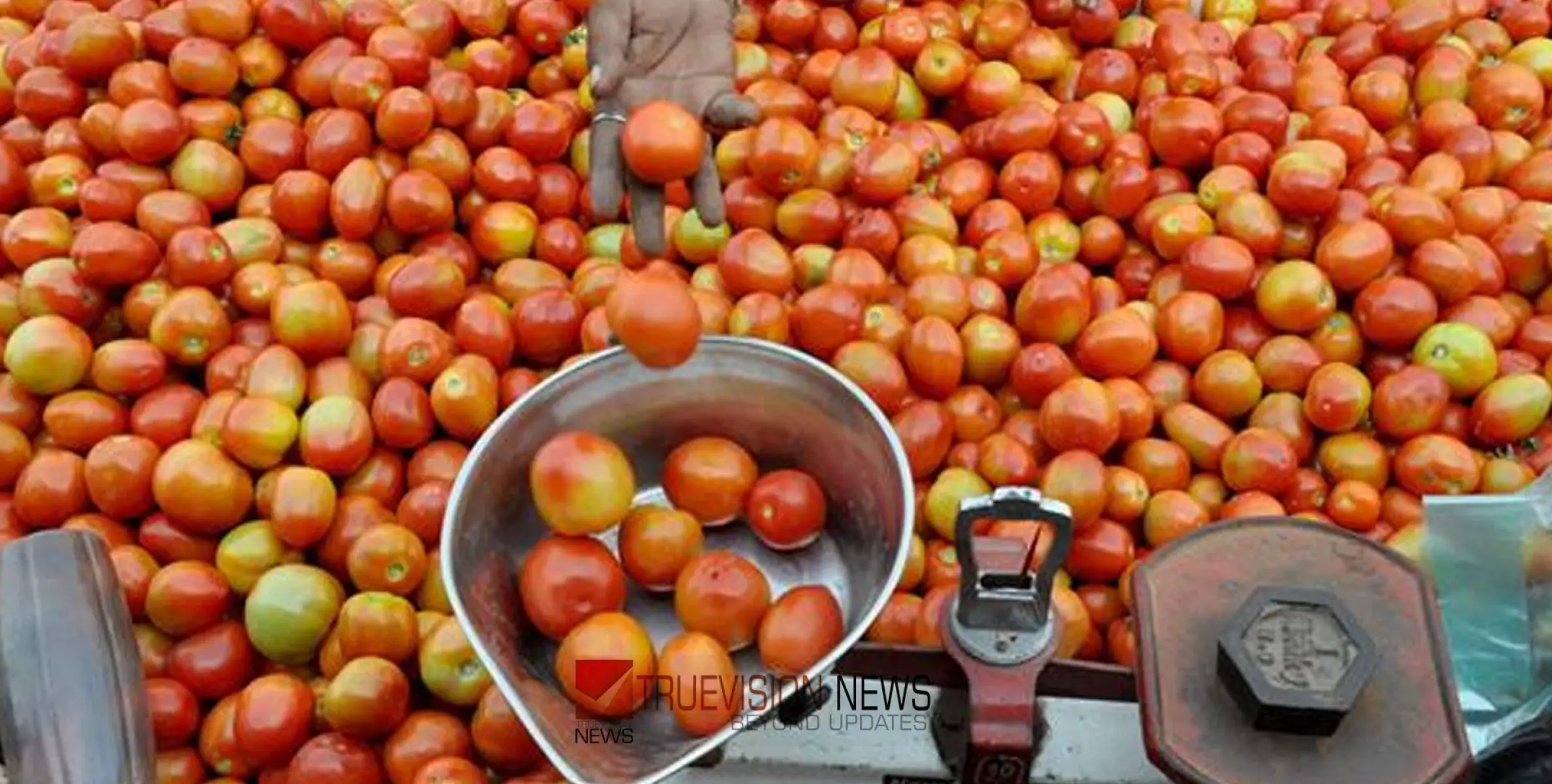 #Vegetableprice | സംസ്ഥാനത്ത് പച്ചക്കറി വില കുതിച്ചുയരുന്നു; നൂറില്‍ തൊട്ട് വീണ്ടും തക്കാളി വില 