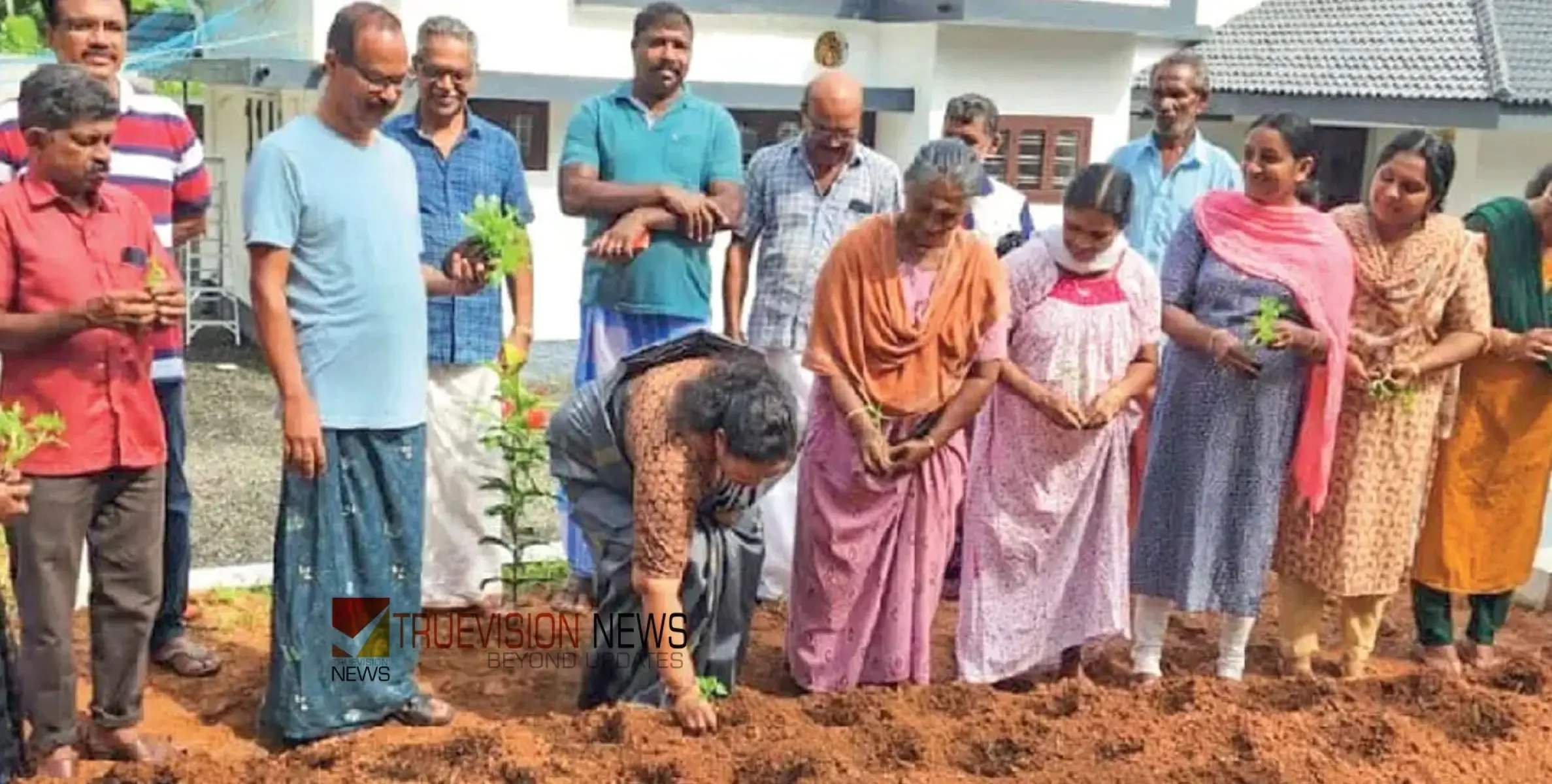 ‘ഓണത്തിന് ഒരുവട്ടി പൂവി’നായി കൂത്താട്ടുകുളം കണിയാലിപ്പടിയിൽ പൂക്കൃഷി തുടങ്ങി