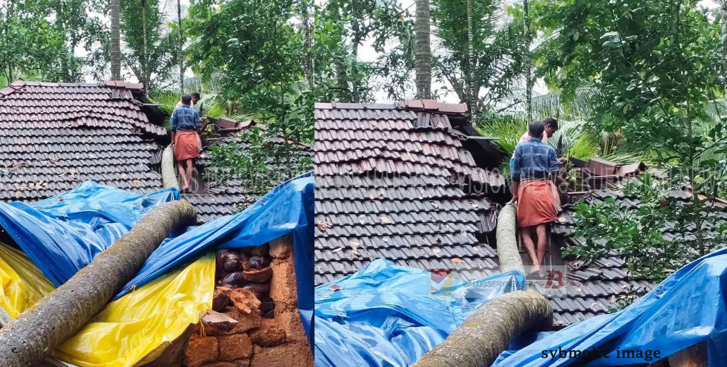 നരയംകുളത്ത് കുന്നത്ത് വീട് തെങ്ങ് വീണ് തകർന്ന നിലയിൽ