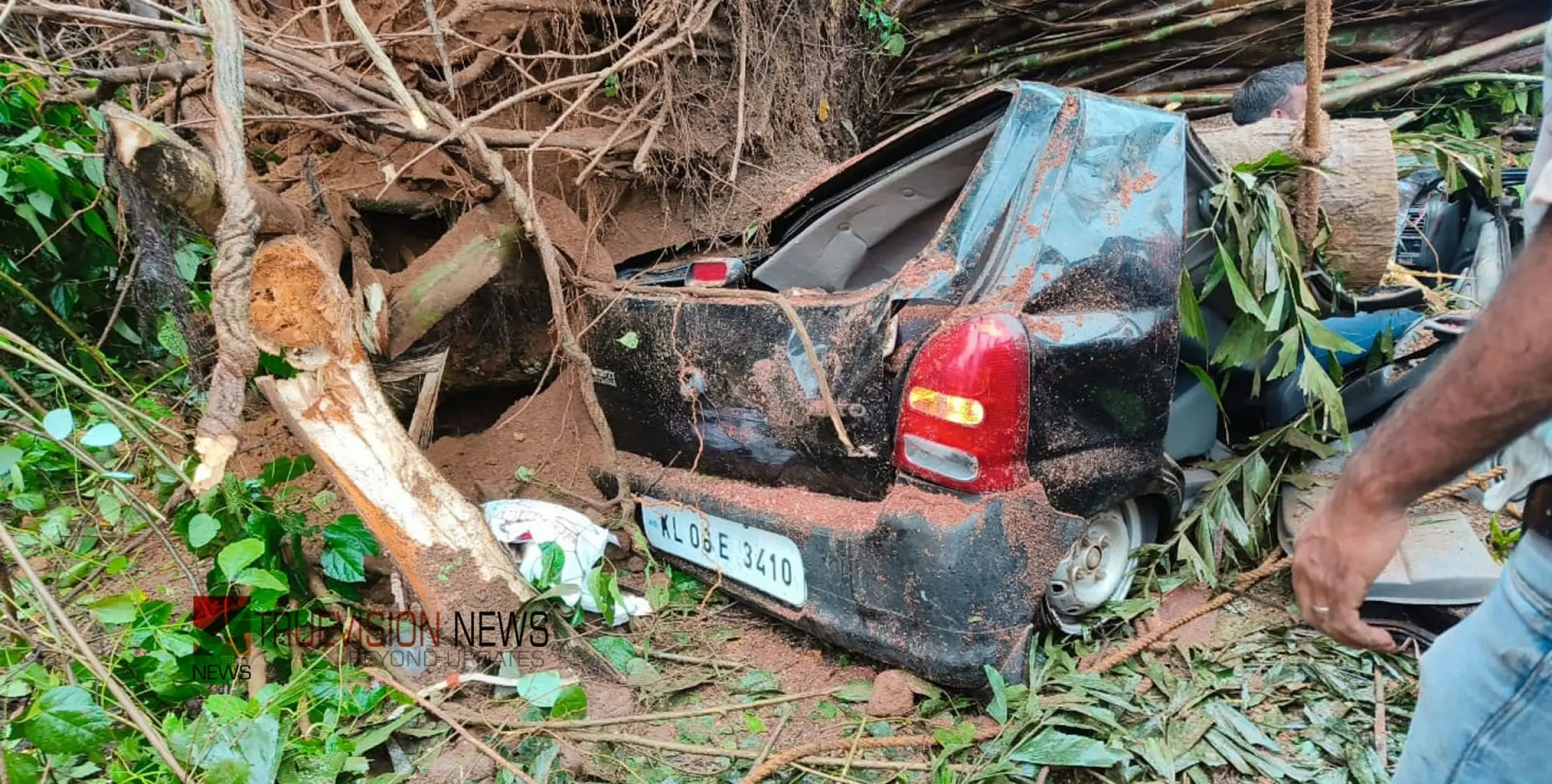 #Accident | മരം കടപുഴകി വാഹനങ്ങൾക്ക് മുകളിലേക്ക് വീണ് അപകടം ; ഒരാൾക്ക് ദാരുണാന്ത്യം