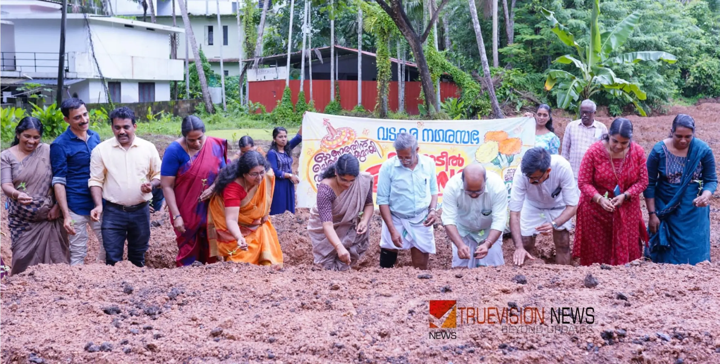 #Vadakaramunicipality | ഓണത്തിന്  പൂക്കളമൊരുക്കാൻ ചെണ്ടുമല്ലി കൃഷിയുമായി വടകര നഗരസഭ