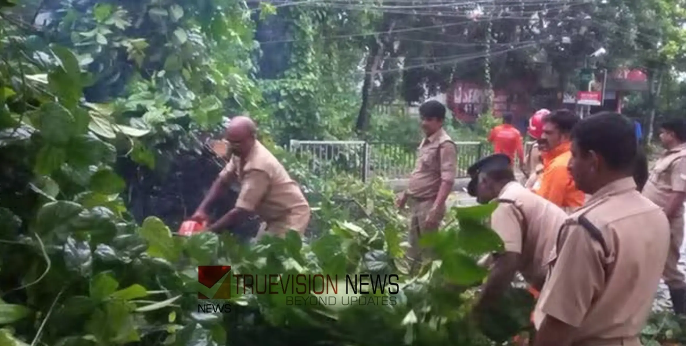 #heavyrain|  ദേശീയപാതയ്ക്ക് കുറുകെ മരംവീണു; ഒരു മണിക്കൂറോളം ഗതാഗതം തടസപ്പെട്ടു