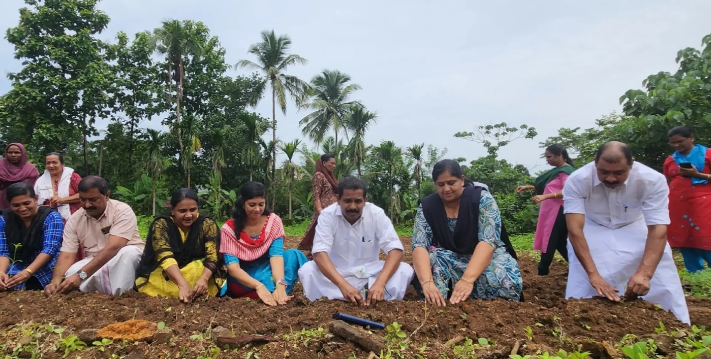 ഓണത്തിന് ഒരുകൊട്ട പൂവ് അയ്യൻകുന്ന് ഗ്രാമ പഞ്ചായത്തിൽ ചെണ്ടുമല്ലി കൃഷിക്ക് തുടക്കം കുറിച്ചു