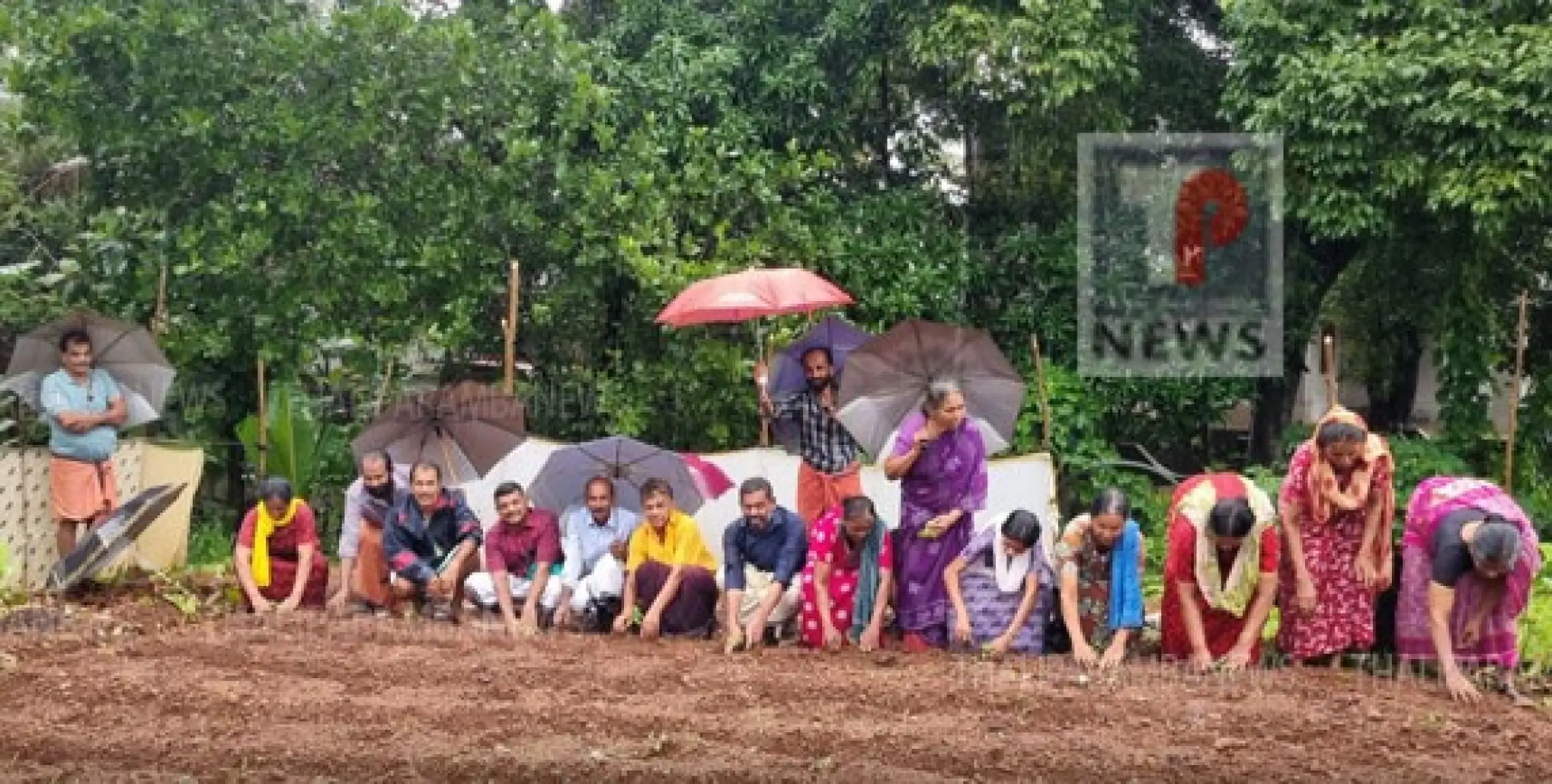 കാഞ്ഞിരങ്ങാട് ഹരിതശ്രീ കൃഷിക്കൂട്ടത്തിൻ്റെ നേതൃത്വത്തിൽ ചെണ്ട്മല്ലി തൈ നടീൽ സംഘടിപ്പിച്ചു