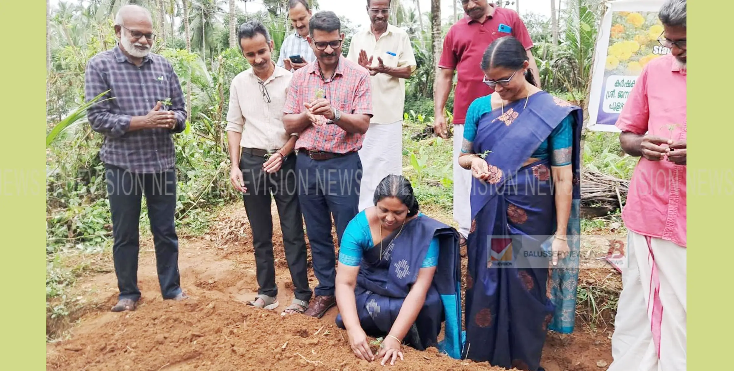 ഓണത്തിന് പൂക്കളമൊരുക്കാൻ ചെണ്ടുമല്ലി കൃഷിയുമായി ബാലുശ്ശേരി മണ്ഡലം