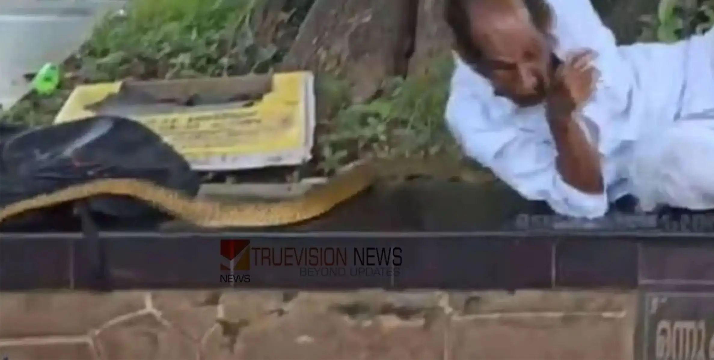 #snake | ക്ഷേത്രപരിസരത്ത് ആൽത്തറയിൽ കിടന്നുറങ്ങിയിരുന്ന ആളുടെ ശരീരത്തിലൂടെ പാമ്പ് കയറി