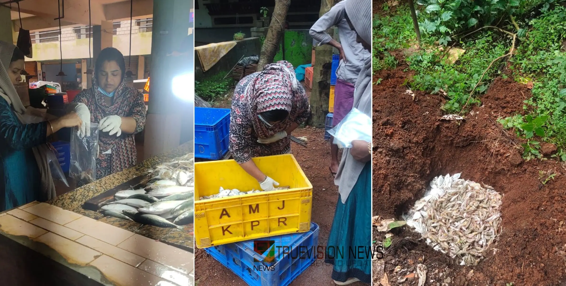  #foodsafetydepartment  |  ഓപ്പറേഷൻ ലൈവ് ; വളയത്തെ മത്സ്യവിതരണ കേന്ദ്രങ്ങളിൽ ഭക്ഷ്യ സുരക്ഷാ വകുപ്പിൻ്റെ മിന്നൽ പരിശോധന