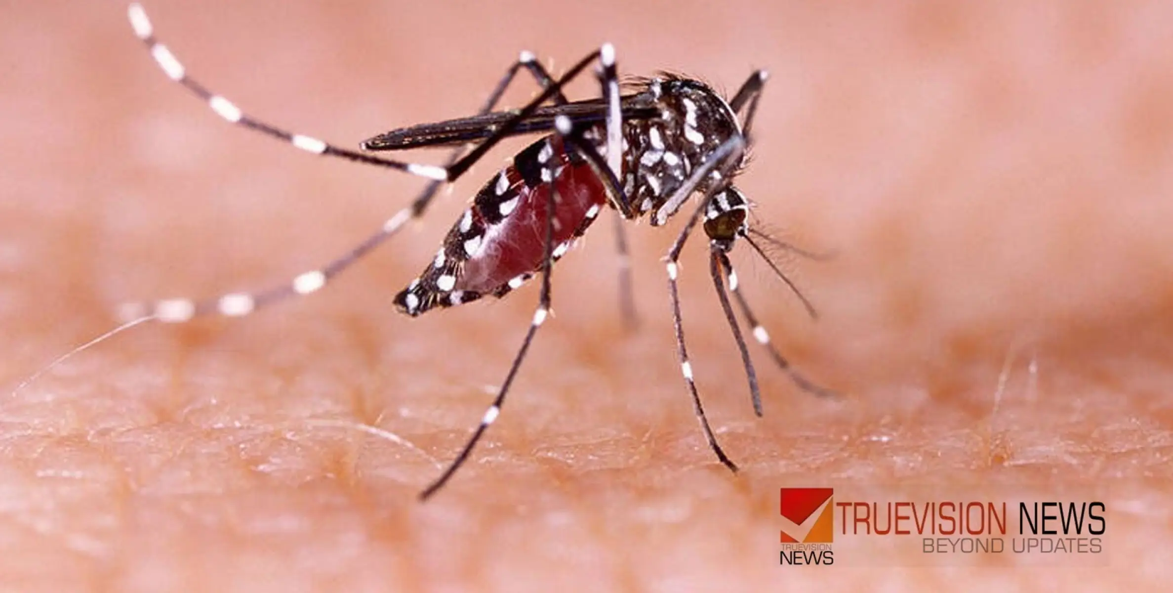 ഡെ​ങ്കി​പ്പ​നി; മു​ന്ന​റി​യി​പ്പു​മാ​യി ആ​രോ​ഗ്യ വ​കു​പ്പ്