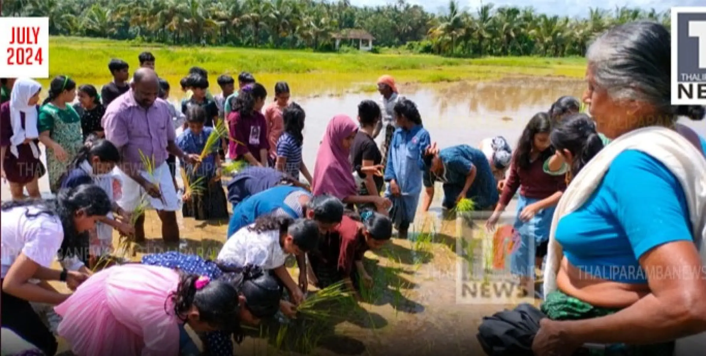 അക്കിപ്പറമ്പ് സ്കൂൾ വിദ്യാർത്ഥികൾ വയൽനടത്തം സംഘടിപ്പിച്ചു 