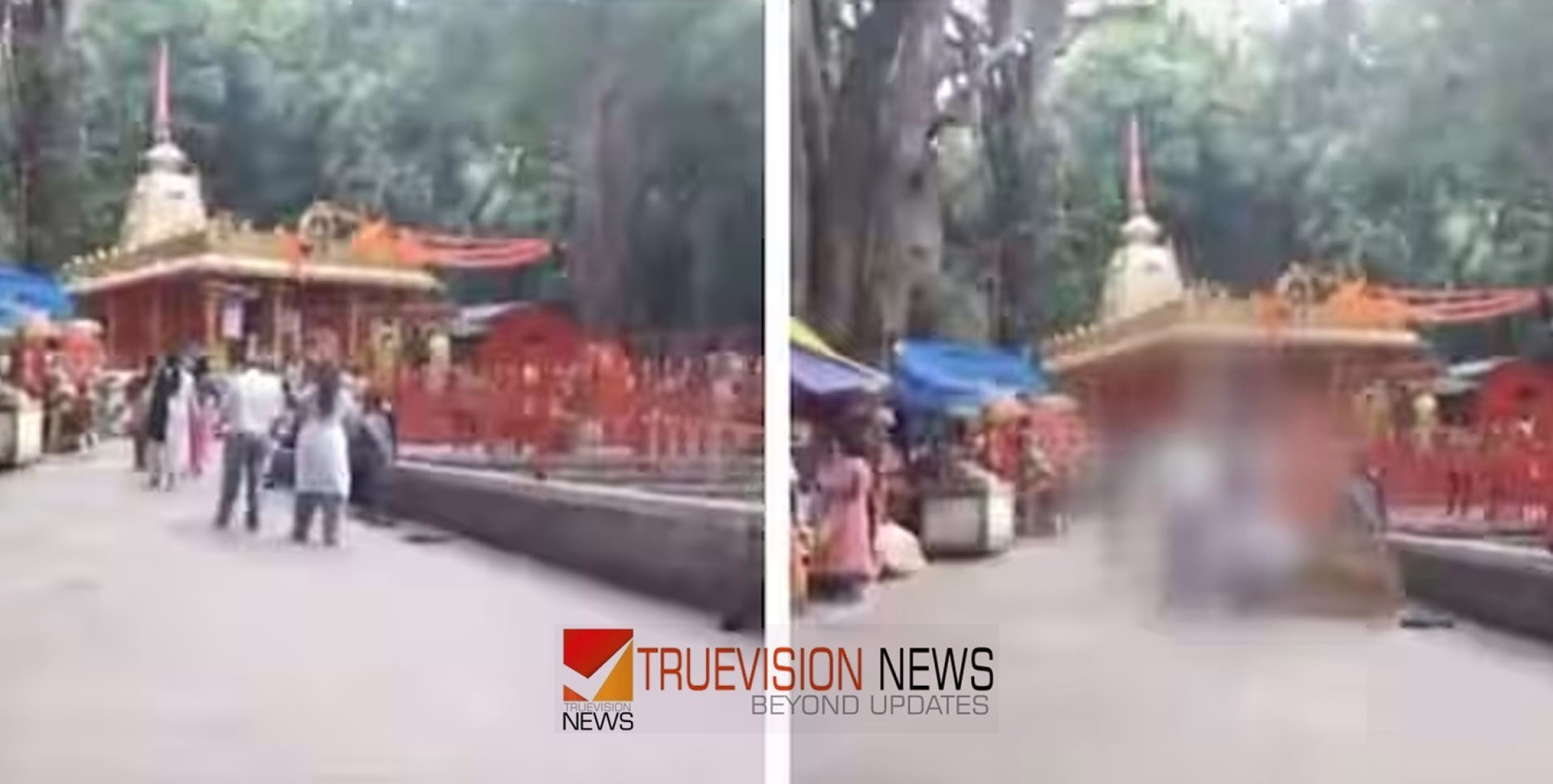 #treebranchfell | തിരുപ്പതിയിൽ ദർശനത്തിയ സ്ത്രീയുടെ തലയിൽ മരക്കൊമ്പ് ഒടിഞ്ഞ് വീണ് പരിക്ക്; ദൃശ്യങ്ങൾ പുറത്ത്