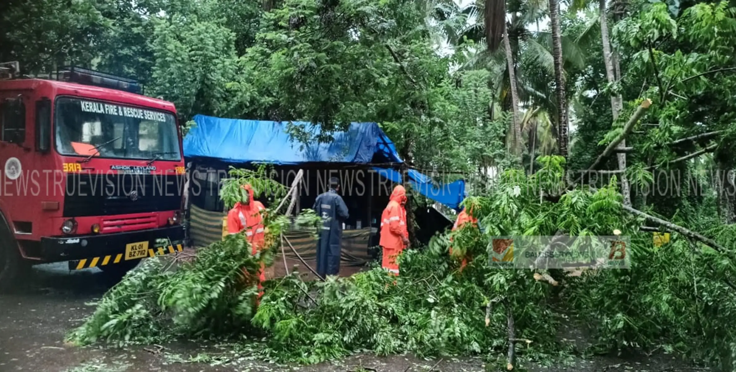 കൊല്ലം  നെല്ലിയാടി കടവ് റോഡിൽ മരം പൊട്ടി വീണ് ഗതാഗതം തടസ്സപ്പെട്ടു