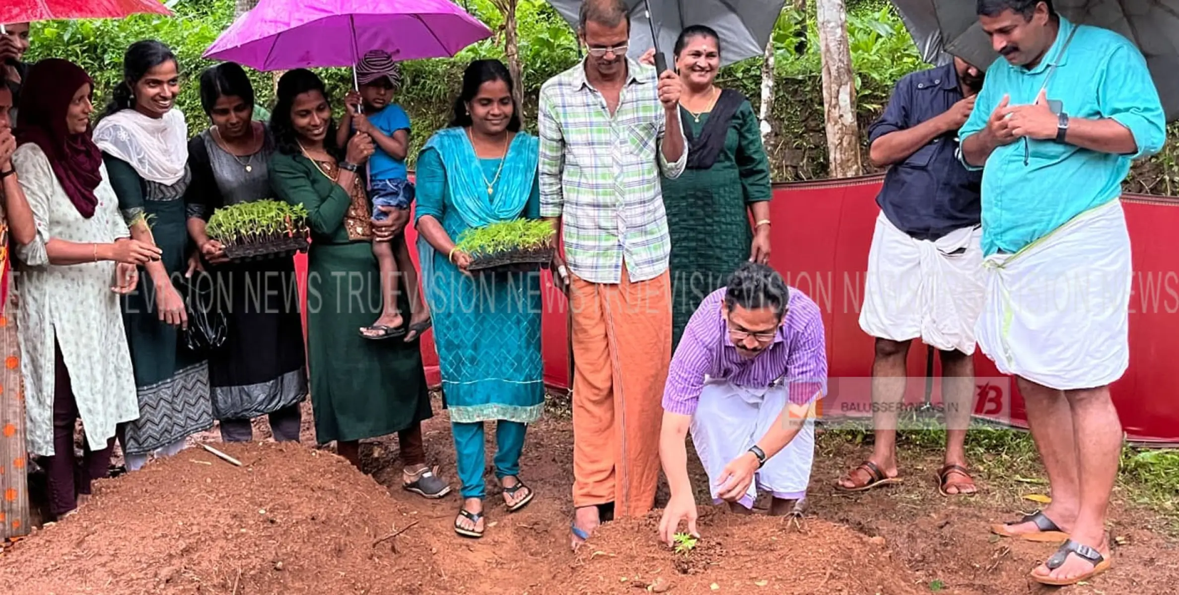 ഓണത്തിനൊരു മുറം പൂ; പൂ കൃഷിയുടെ നടീൽ ഉദ്ഘാടനം പഞ്ചായത്ത് പ്രസിഡൻ്റ്  സി ച്ച് സുരേഷ് നിർവ്വഹിച്ചു