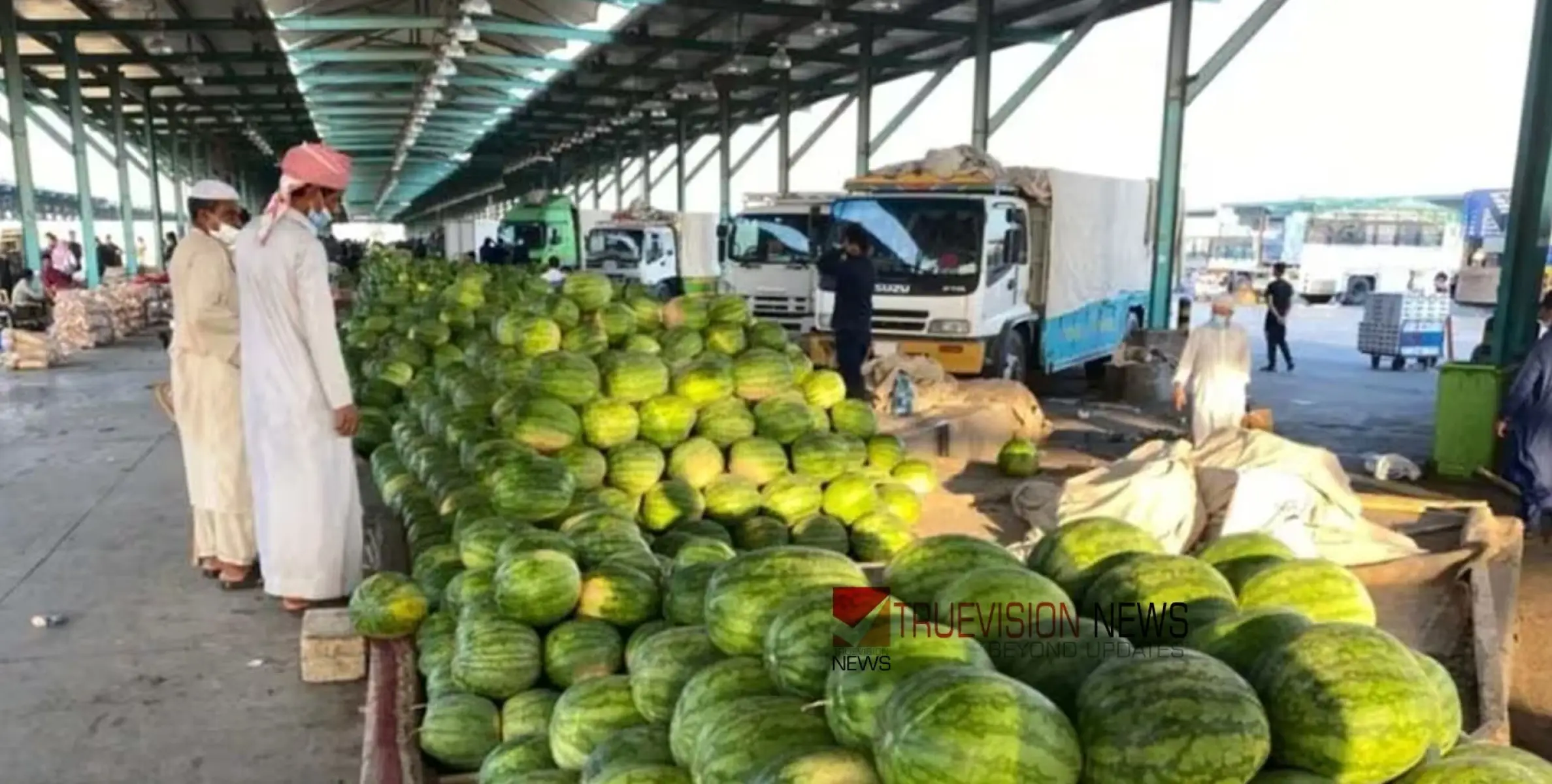 #watermelon | സൗദിയിൽ തഴച്ചുവളർന്ന് തണ്ണിമത്തൻ; ഉത്പാദനത്തിൽ സ്വയംപര്യാപ്തത ലക്ഷ്യം