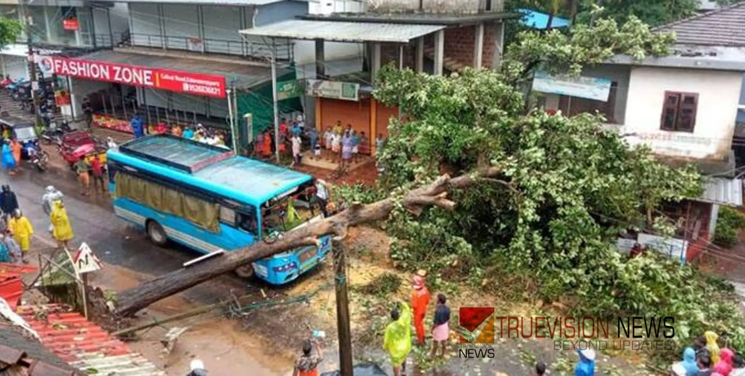 #treefell | ഓടുന്ന ബസിന് മുകളിൽ വലിയ മരം വീണു; തലനാരിഴയ്ക്ക് ഒഴിവായത് വൻ ദുരന്തം, കണ്ടക്ടർക്ക് പരിക്ക്