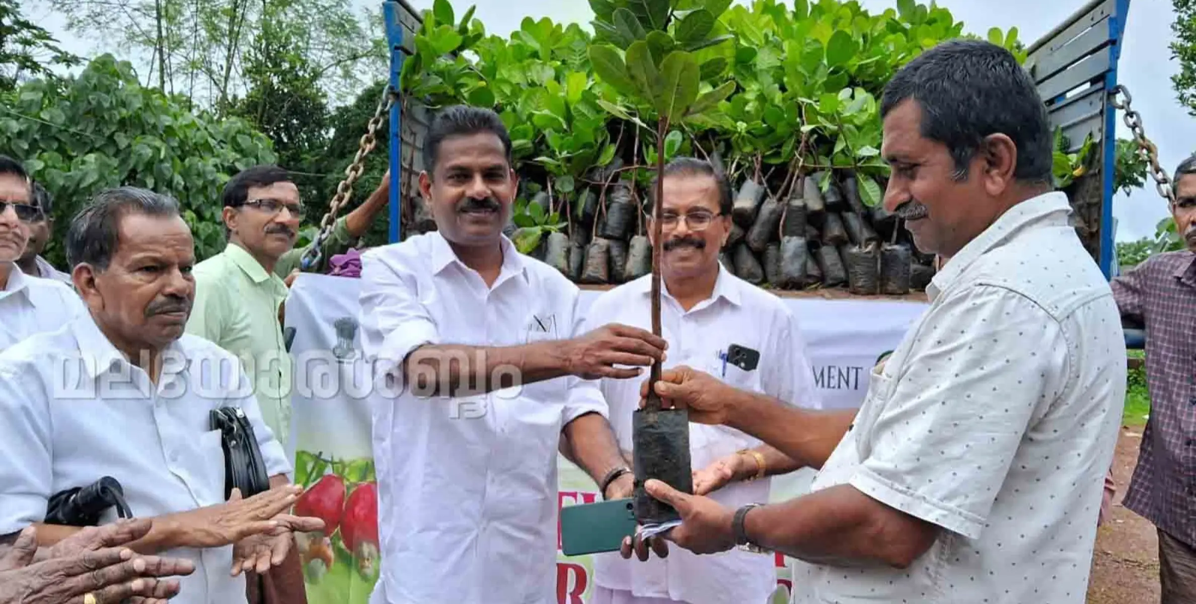 ഉളിക്കൽ പഞ്ചായത്തിൽ കശുമാവ് കൃഷി വ്യാപന പദ്ധതി ഉൽഘാടനം ചെയ്തു