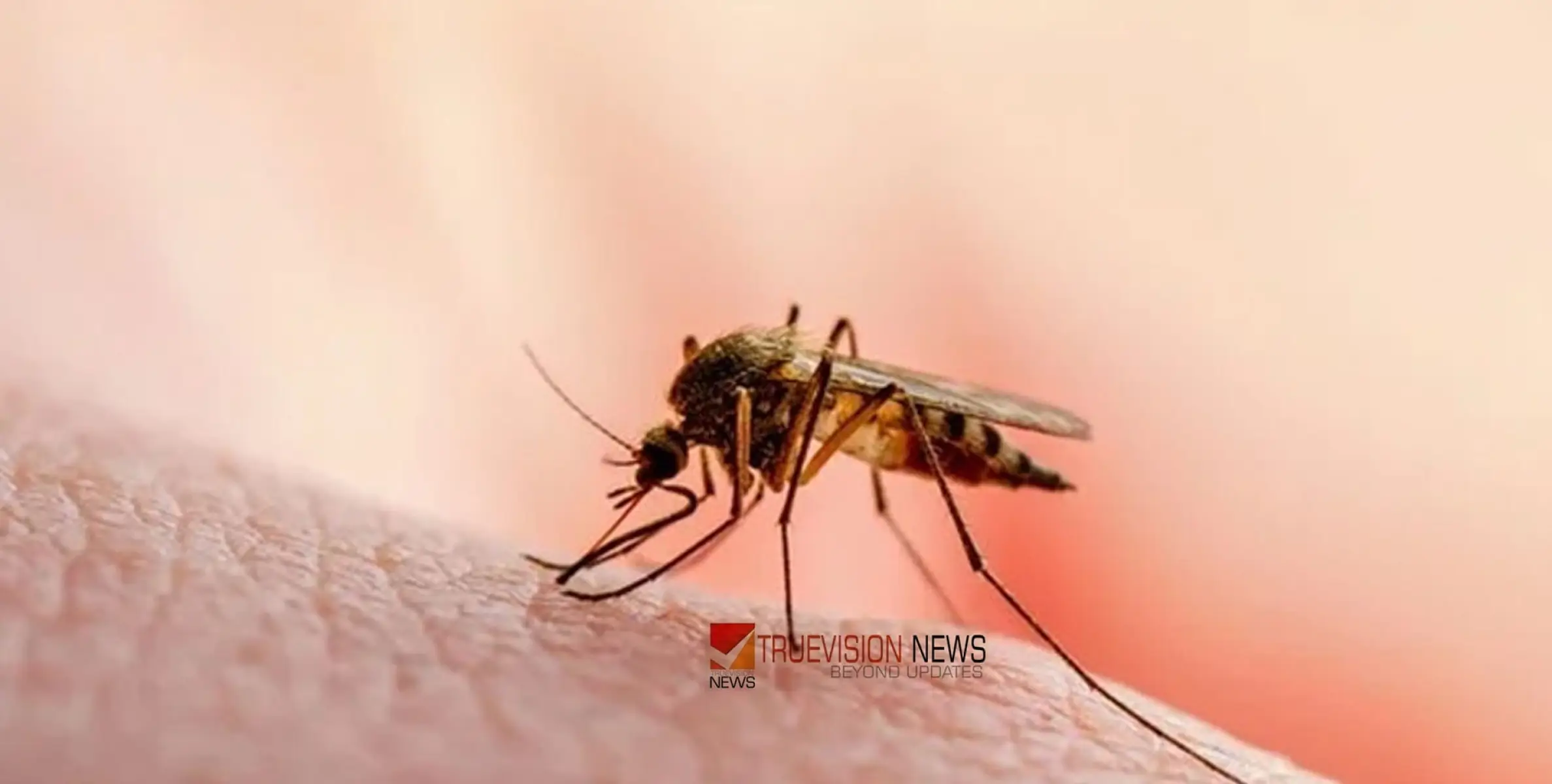 #malaria |  ജില്ലയിൽ നാല് പേർക്ക് മലമ്പനി സ്ഥിരീകരിച്ചു;  ജാഗ്രതാ നിർദ്ദേശം  