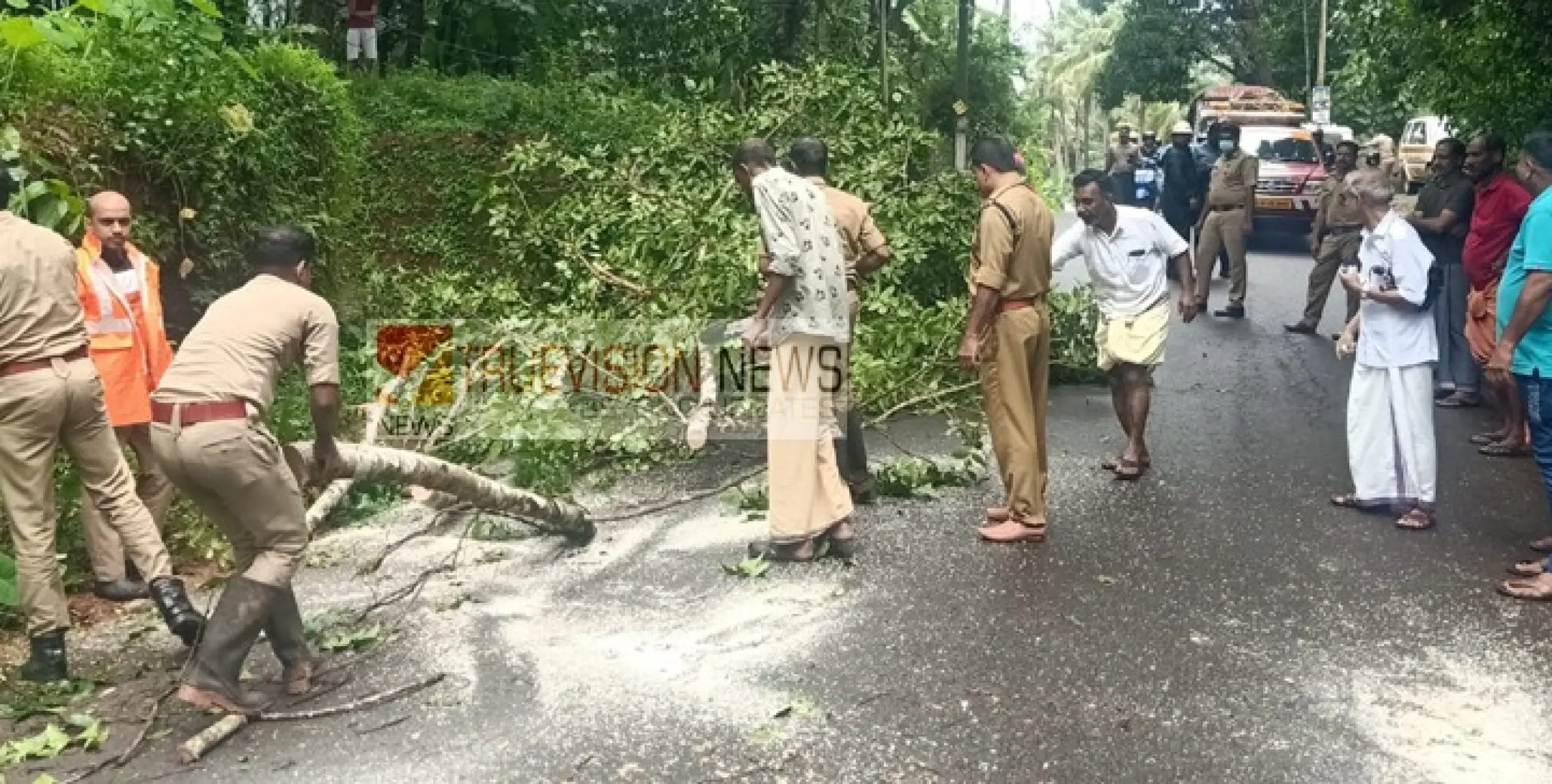 പാനൂർ - തലശേരി റൂട്ടിൽ മീത്തലെ ചമ്പാട് റോഡിന്  പൊട്ടിവീണ മരം മുറിച്ചു നീക്കി