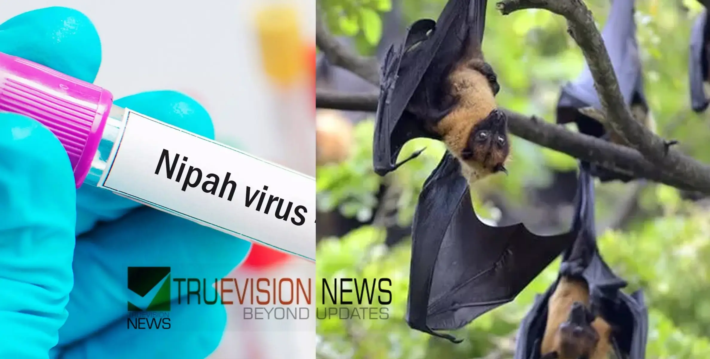  #Nipah | നിപ സംശയം: 15കാരന്റെ നില ഗുരുതരം, ആരോഗ്യമന്ത്രിയുടെ നേതൃത്വത്തില്‍ യോഗം