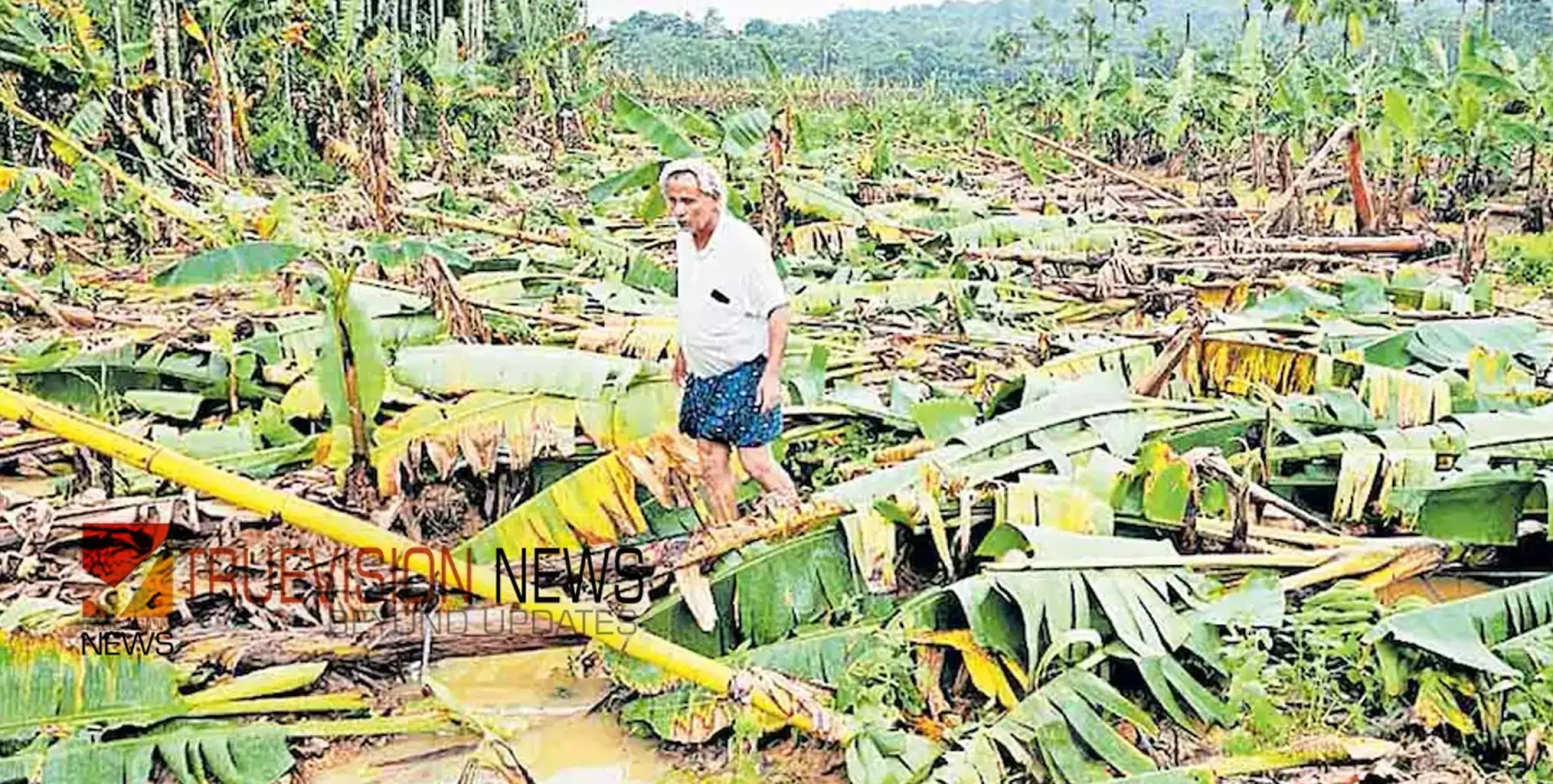 #rain | മഴക്കെടുതി: അടിയന്തര സഹായം നൽകണം