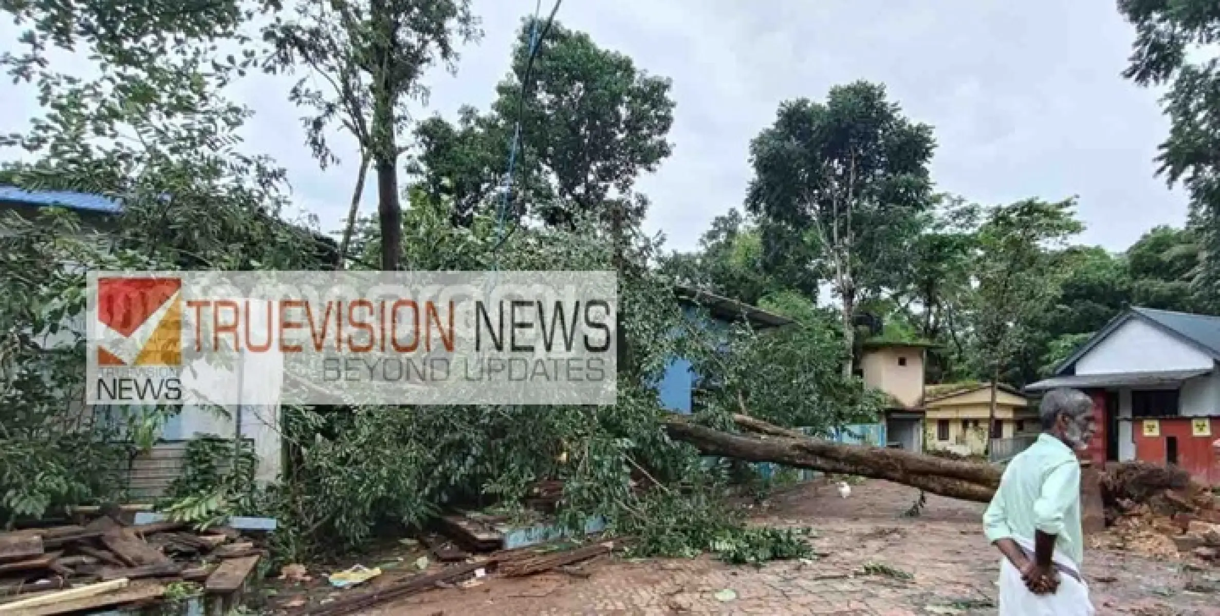 കനത്ത കാറ്റ്: കണ്ണൂർ ചിറ്റാരിപ്പറമ്പ് പ്രാഥമിക ആരോഗ്യ കേന്ദ്രത്തിലെ വൻമരം കടപുഴകി വീണു 