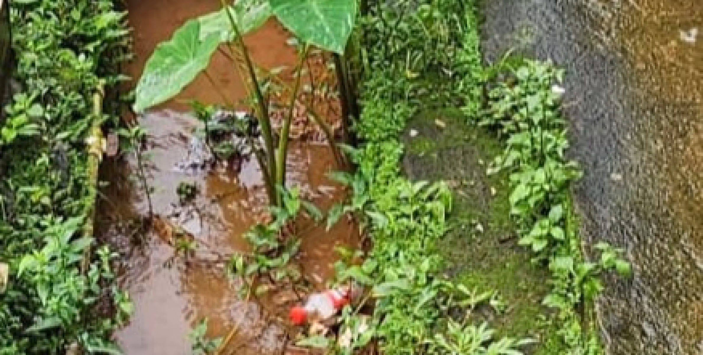 മാലിന്യവും ചെളിയും കുന്ന് കൂടി അടക്കാത്തോട് ടൗണിലെ ഓവുചാലുകൾ:ആര് ശുചീകരിക്കുമെന്നറിയാതെ നാട്ടുകാരും
