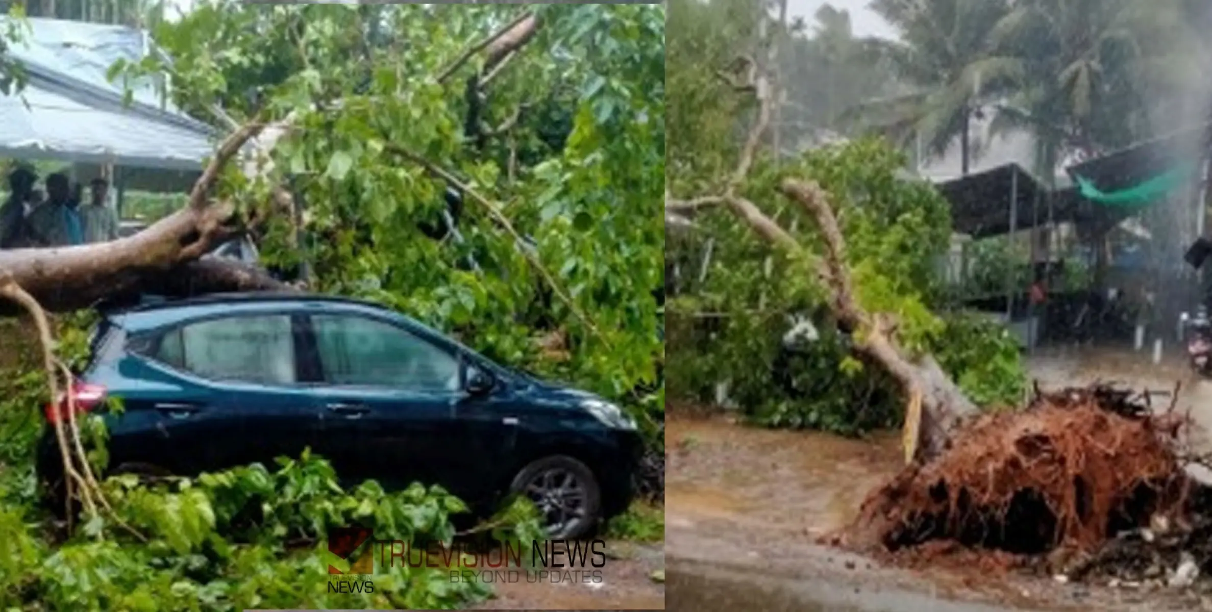   #Heavyrain  |   മിന്നൽ ചുഴലിക്കാറ്റ്; കുറ്റ്യാടി മലയോരങ്ങളിൽ ശക്തമായ കാറ്റും മഴയും, വ്യാപക നാശനഷ്ടം