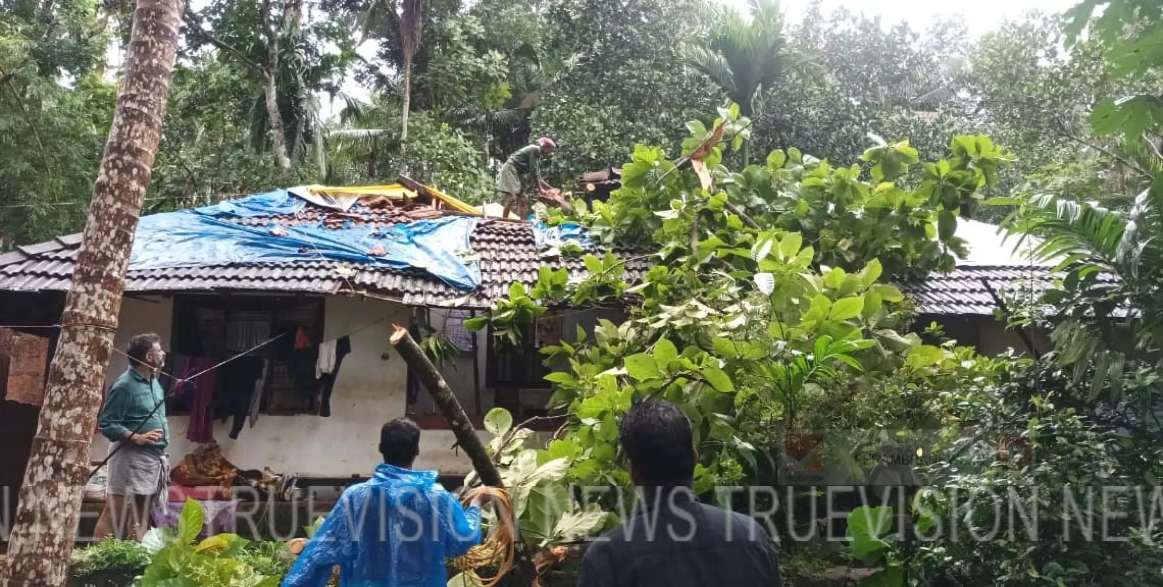 ശക്തമായ കാറ്റിലും മഴയിലും മരം വീണ് വീട് തകര്‍ന്നു