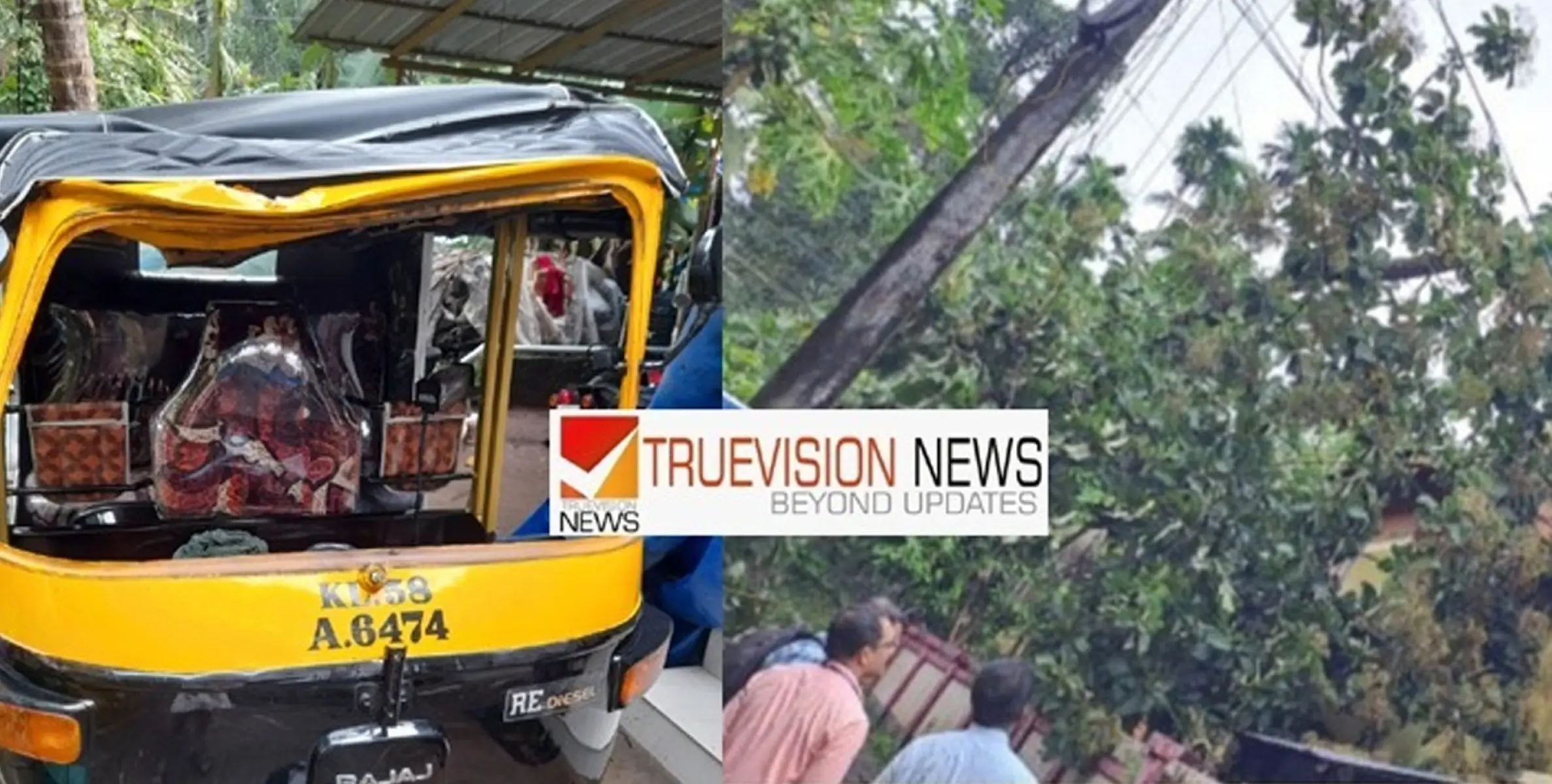 #Cyclone | തലശ്ശേരിയിലും ചുഴലി; വീടുകൾക്ക് മുകളിൽ  മരം വീണു, തെങ്ങ് വീണ് ഓട്ടോറിക്ഷ തകർന്നു