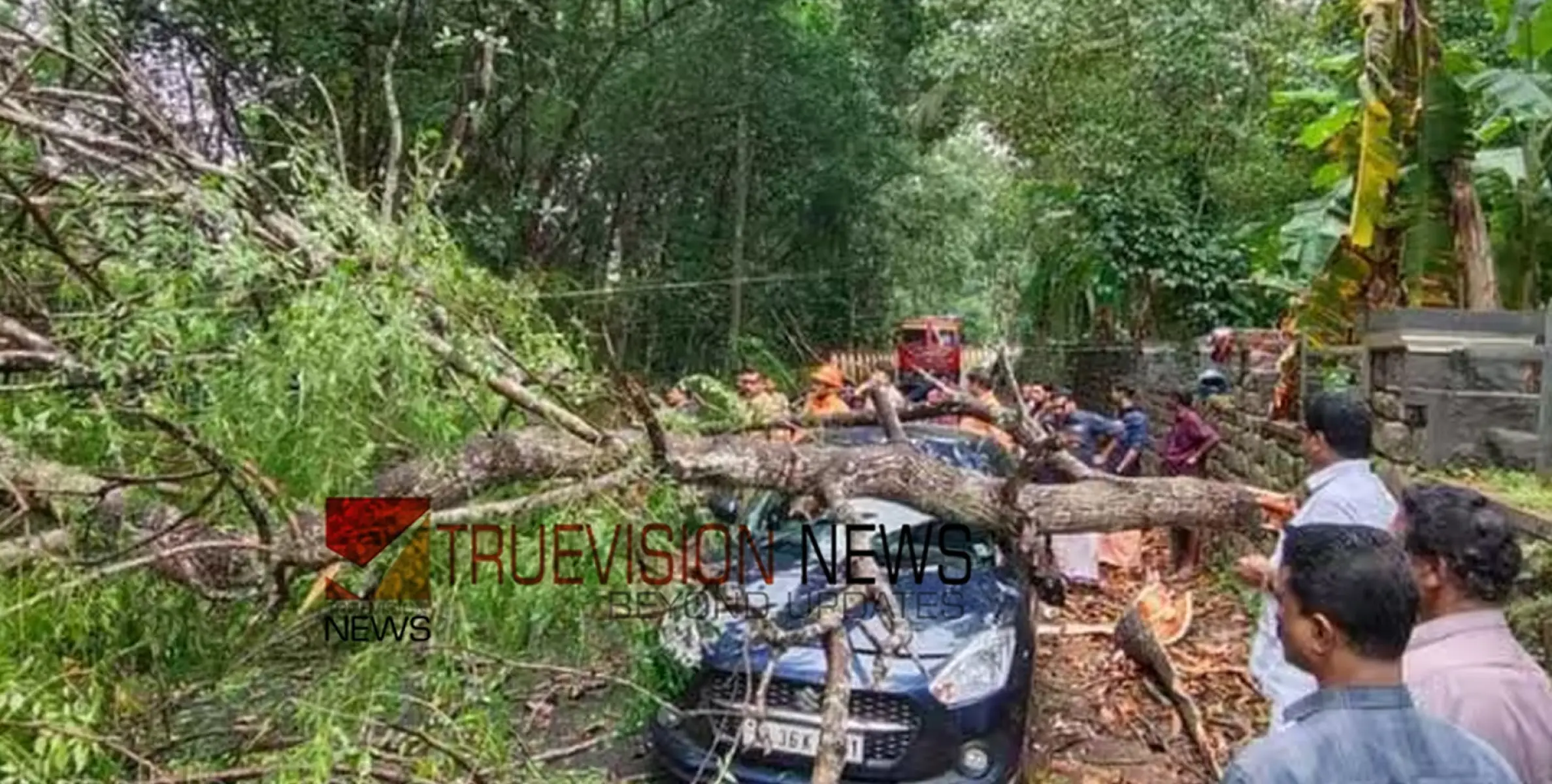 #treefell | ഓടിക്കൊണ്ടിരുന്ന കാറിനു മുകളില്‍ മരംവീണ് അപകടം,  യാത്രക്കാർ രക്ഷപ്പെട്ടത് അത്ഭുതകരമായി 