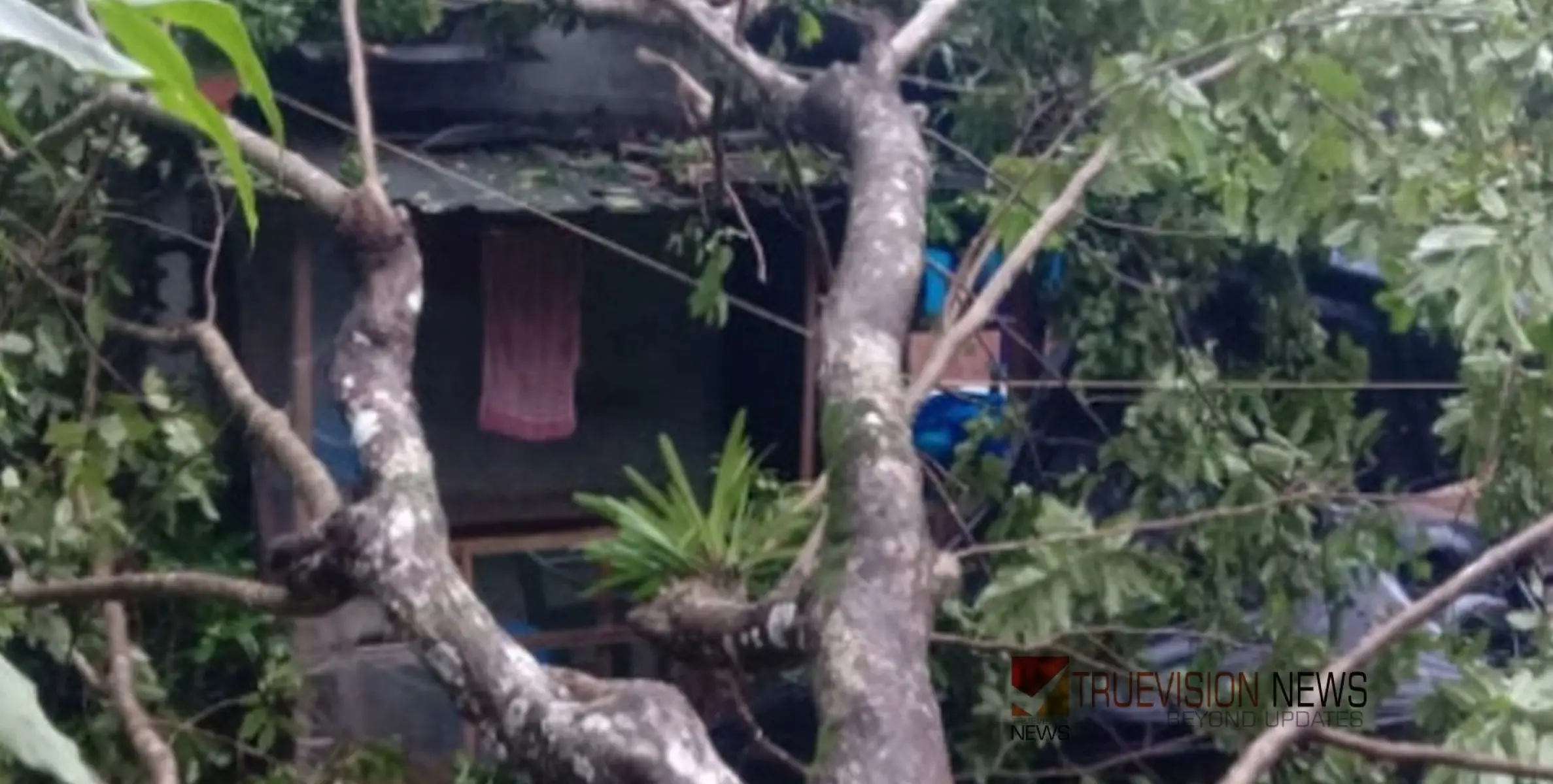 #LightningTornado | മിന്നൽ ചുഴലി : വീടിന് മുകളിൽ മരം വീണു