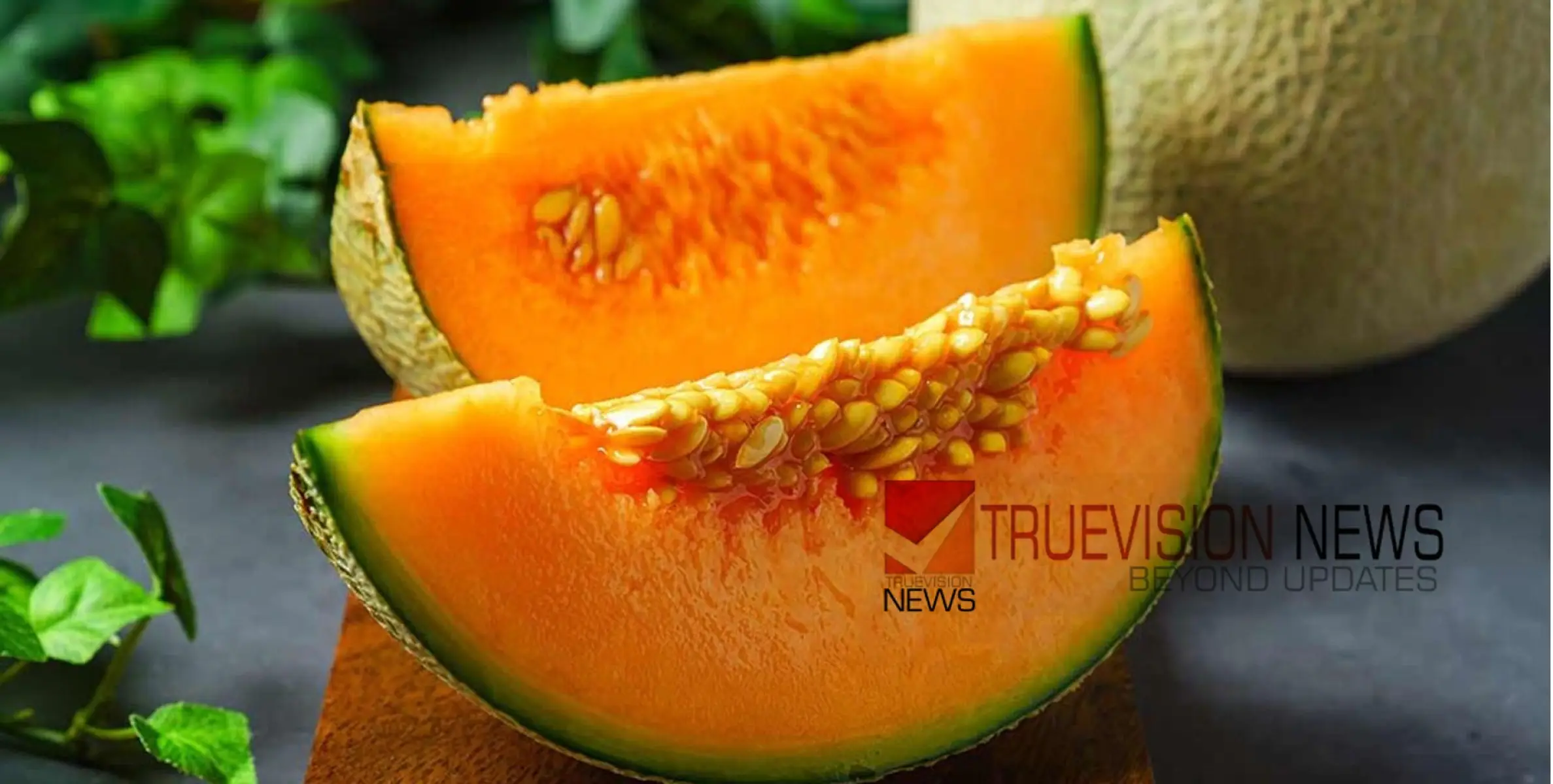 #muskmelon | മസ്ക് മെലൺ കൃഷിയിൽ സൗദി അറേബ്യ സ്വയംപര്യാപ്തത കൈവരിച്ചു