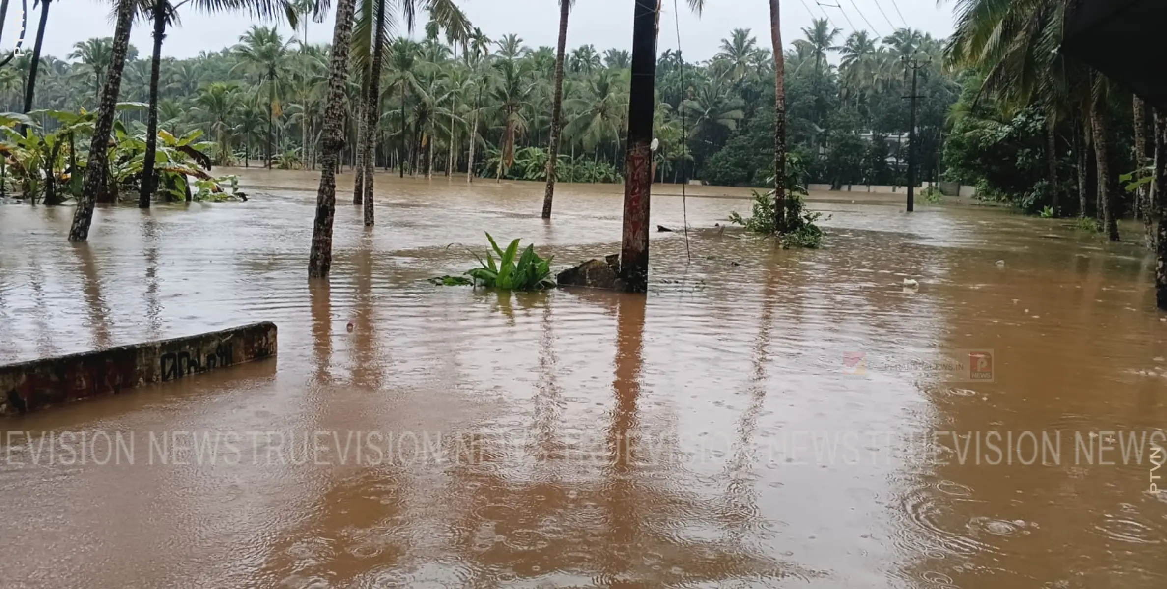  പൈതോത്ത് റോഡില്‍ ഗതാഗതം നിലച്ചു 