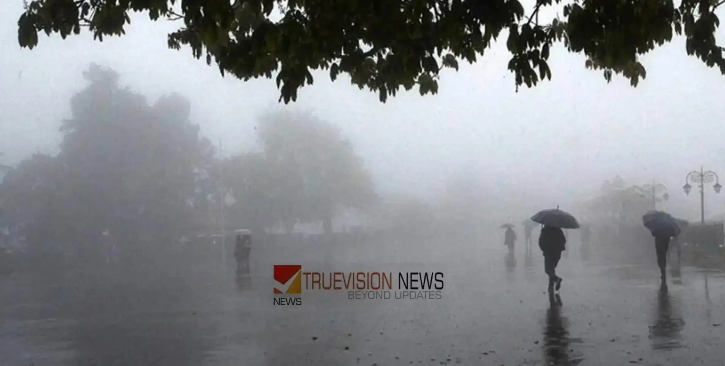 #Rainwarning | മഴ മുന്നറിയിപ്പ് തുടരുന്നു; കോഴിക്കോടും ഇടുക്കിയിലും നിയന്ത്രണങ്ങള്‍, ജാഗ്രത നിര്‍ദേശം തുടരുന്നു 