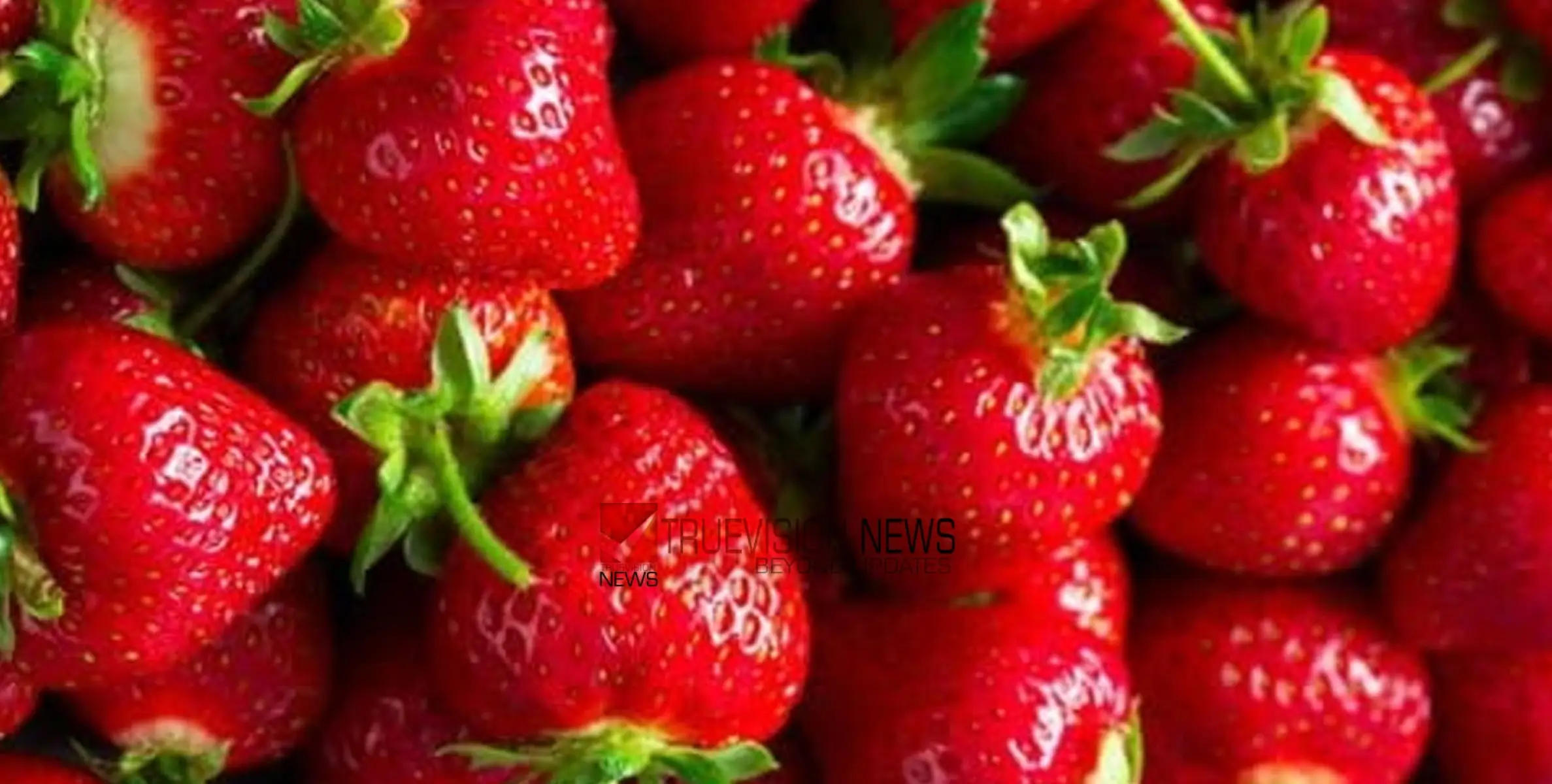 #Strawberry |  സ്ട്രോബെറി കഴിച്ചാൽ ലഭിക്കുന്ന 9 അതിശയിപ്പിക്കുന്ന ​ഗുണങ്ങൾ