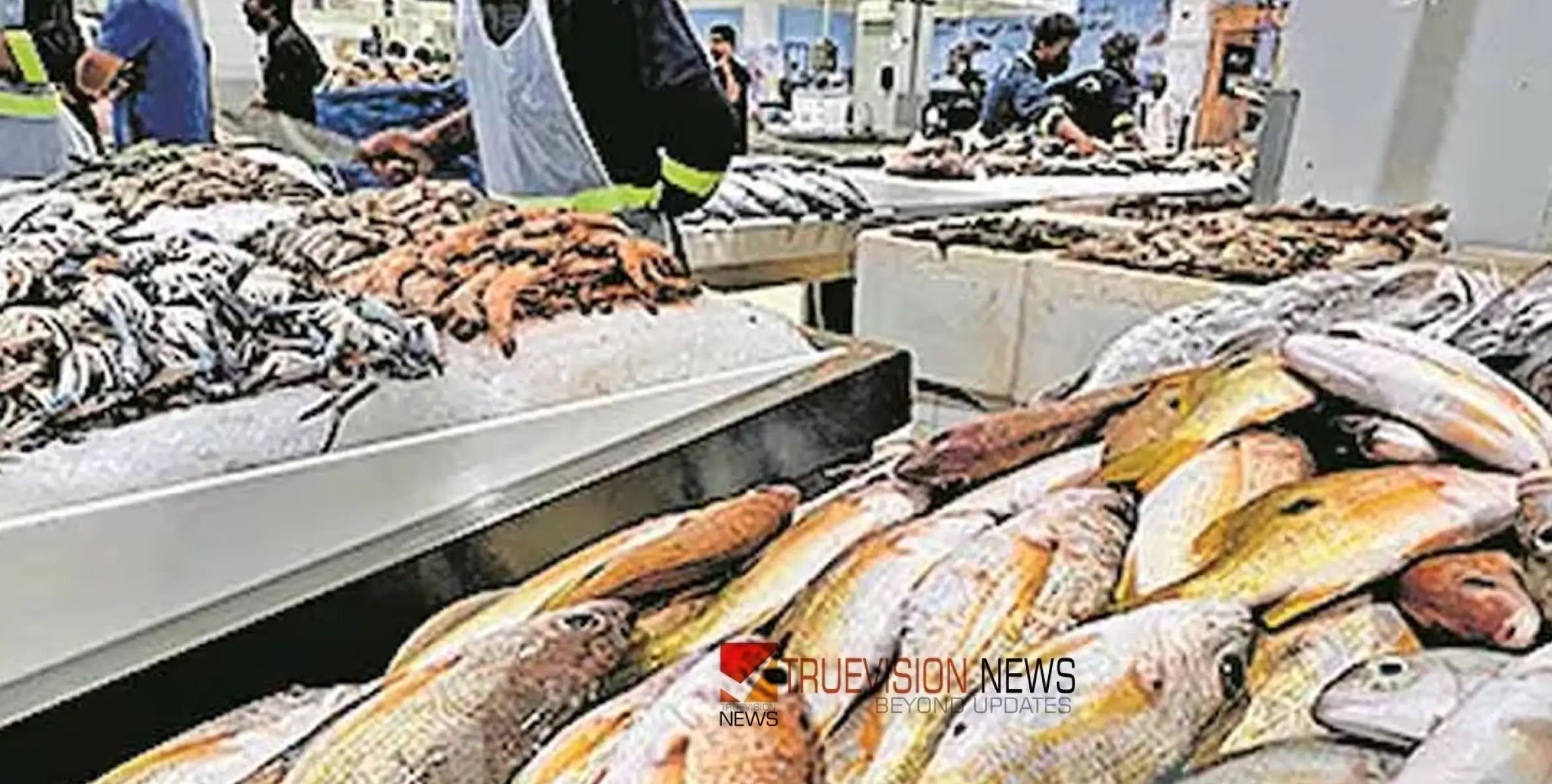 #Fishprice | യുഎഇയിൽ മത്സ്യ വില കുതിക്കുന്നു; മത്തി 20 ദിർഹം കടന്നു, മലയാളികളുടെ പ്രിയപ്പെട്ട മീനുകൾക്ക് വില വർദ്ധിച്ചു 