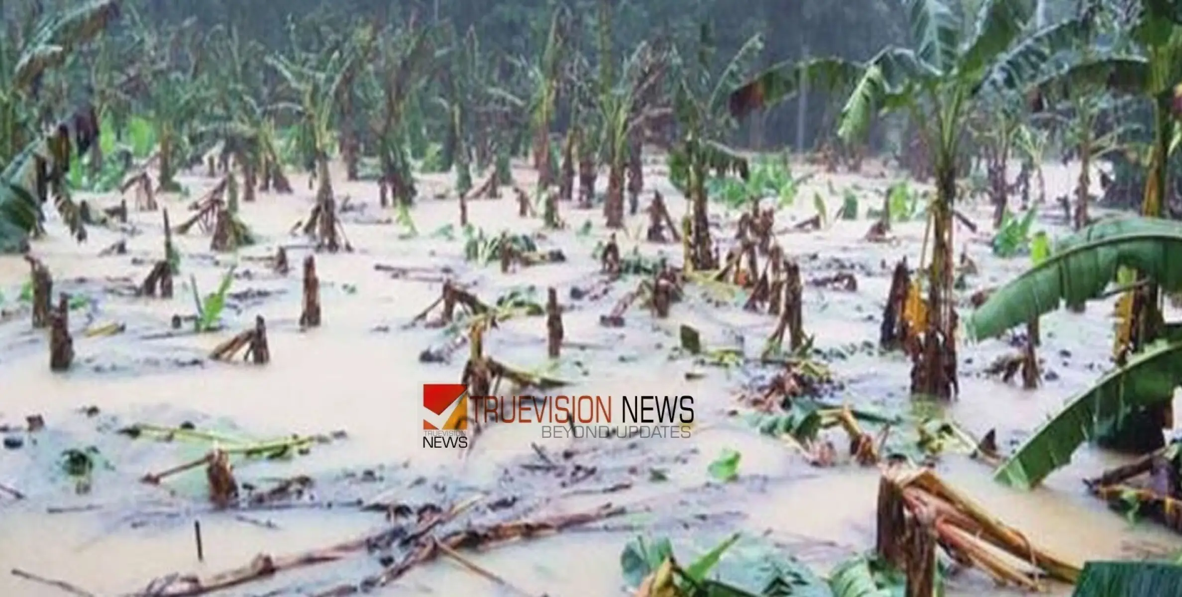 #heavyrain |  ദുരിതപ്പെയ്ത്‌ത്; കുന്നുമ്മൽ ബ്ലോക്കിൽ  48 ലക്ഷത്തിലധികം രൂപയുടെ നാശനഷ്ടം