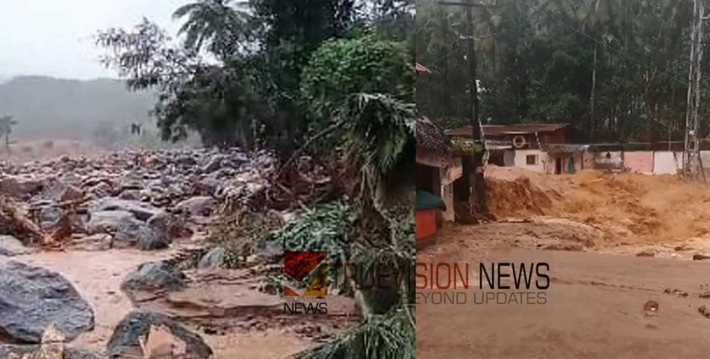 #vilangadlandslide | വിലങ്ങാട് വീണ്ടും മോഷണം; മുപ്പതോളം തെങ്ങില്‍ നിന്നും തേങ്ങകൾ പറിച്ചുകൊണ്ടുപോയി 