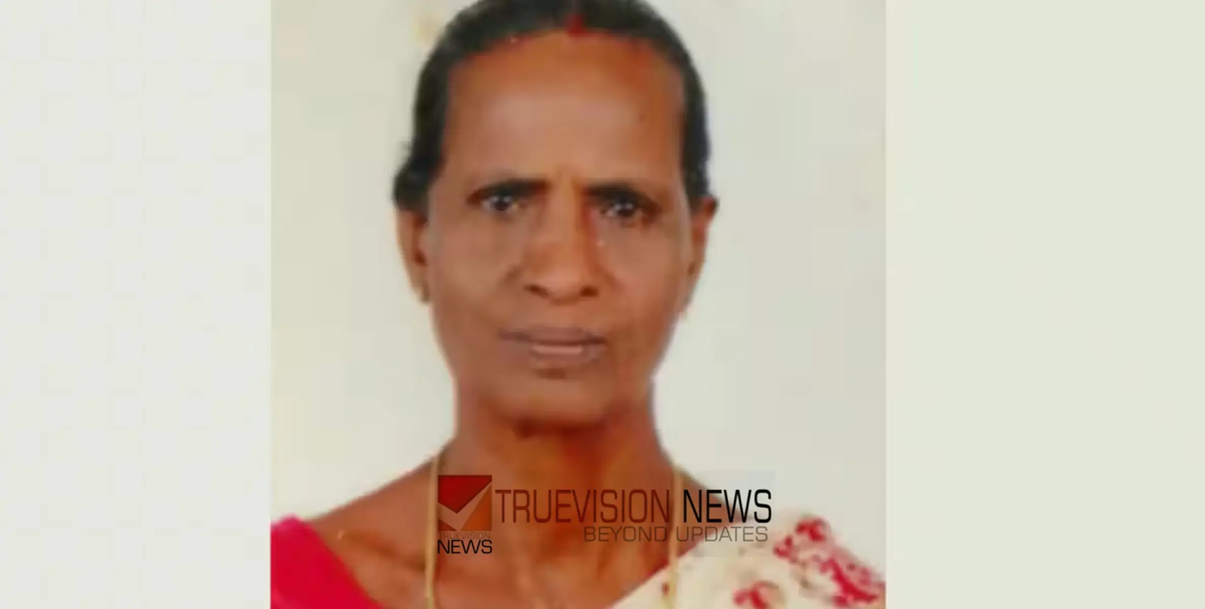 #murder | ലഹരിക്കടിമയായ കൊച്ചുമകന്‍ വയോധികയെ റോഡിലേക്ക് തള്ളിയിട്ടു, ക്വാറി വേസ്റ്റിൽ തലയിടിച്ച് ദാരുണാന്ത്യം