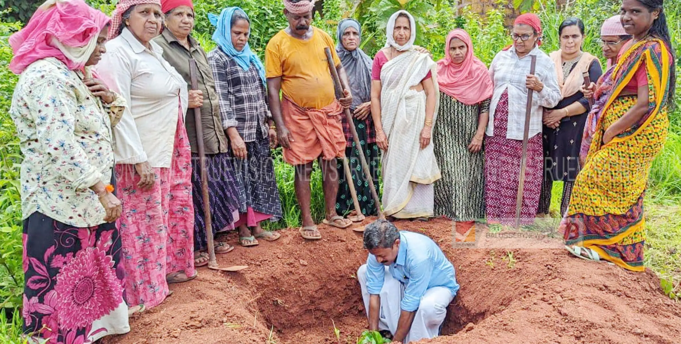 നടുവണ്ണൂർ ഗ്രാമപഞ്ചായത്തിൽ  നാട്ടുമാമ്പാത പദ്ധതിയുടെ ഭാഗമായി മാവിൽ തൈ നട്ടു  