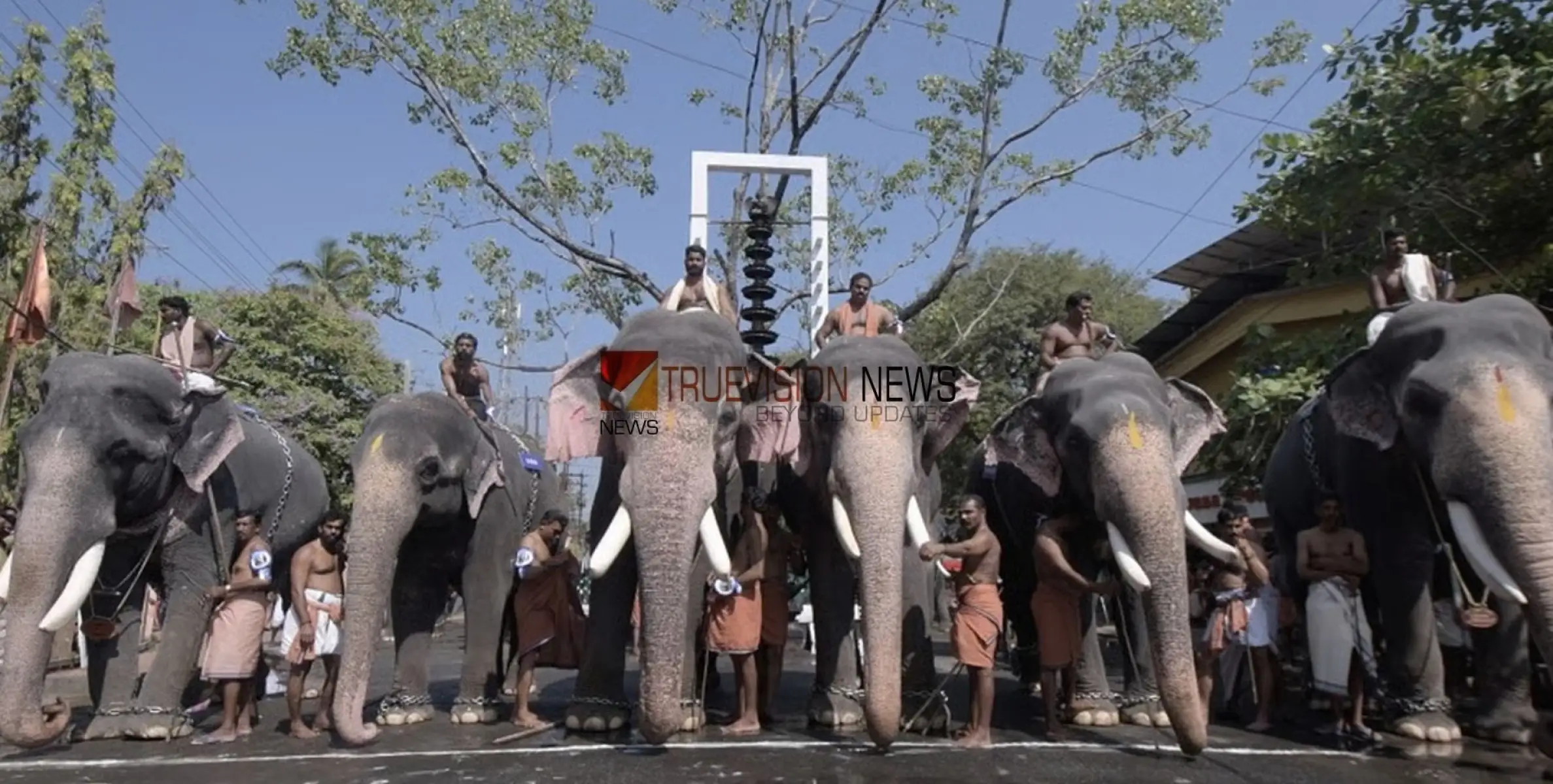 #Guruvayurtemple |  ഗുരുവായൂരിലെ പ്രതീകാത്മക ആന നടയിരുത്തൽ: ദേവസ്വത്തിന് ലഭിച്ച വരുമാനം 5.75 കോടി രൂപ