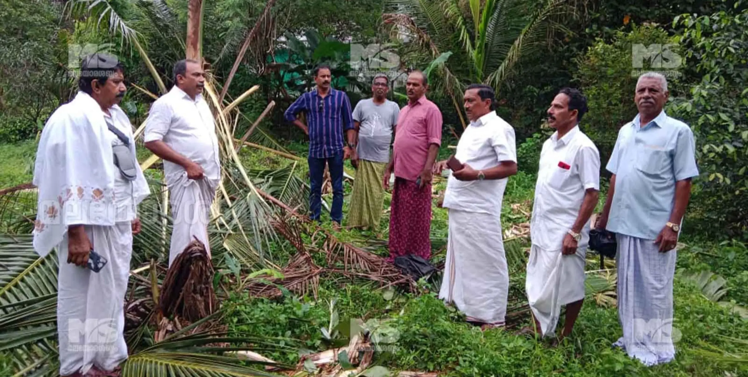 ജനവാസ മേഖലയിൽ കാട്ടാനക്കൂട്ടത്തിന്റെ വിളയാട്ടം 