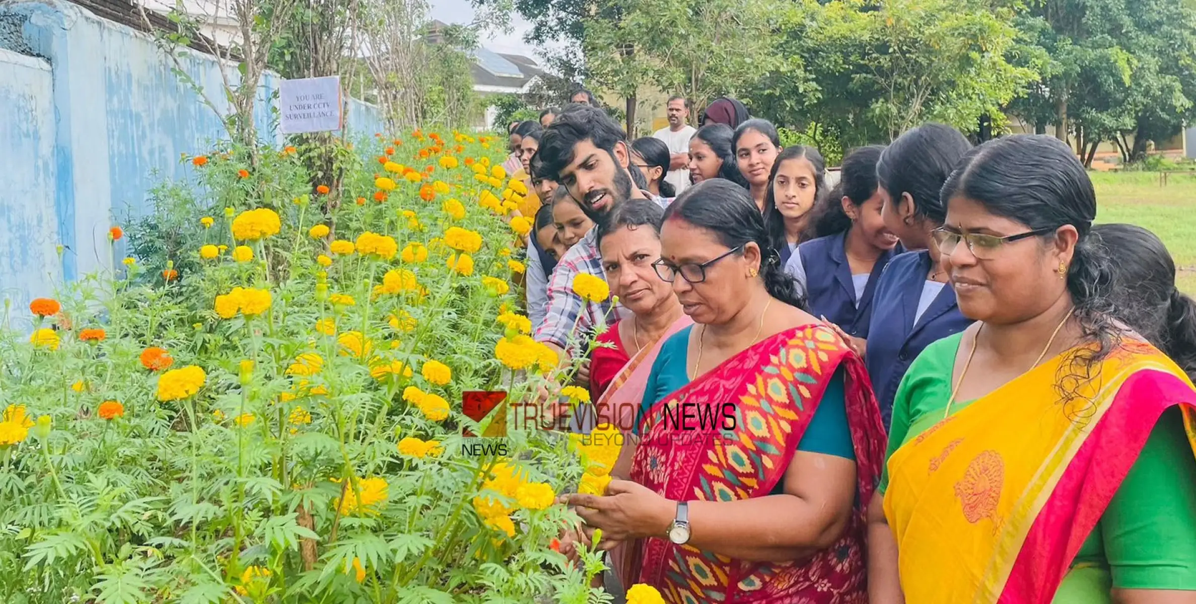 #Floriculture | പൂക്കാലം; ചോറോട് സ്കൂളിൽ പൂക്കൃഷി വിളവെടുപ്പ് ആരംഭിച്ചു