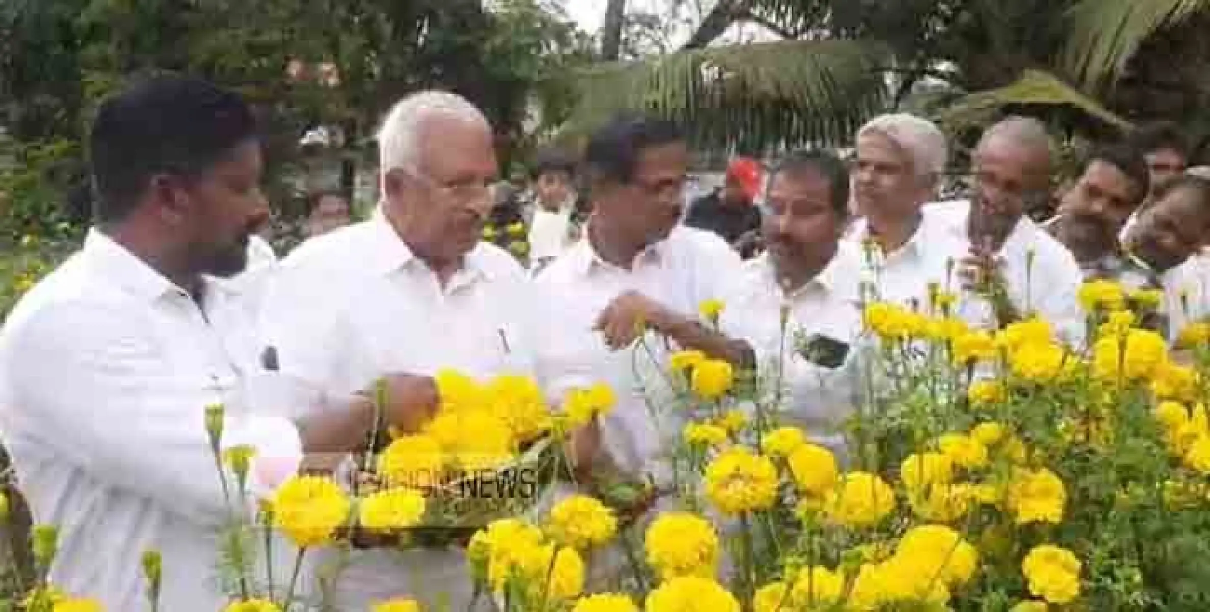 ഓണപൂക്കളത്തിന് നിറം പകരാൻ  മയ്യഴിക്കാർക്ക് സ്വന്തം  പൂക്കൾ ; കർഷകസംഘം മാഹി വില്ലേജ് കമ്മിറ്റി നടത്തിയ  പൂകൃഷിയിൽ നൂറ് മേനി വിളവ്.